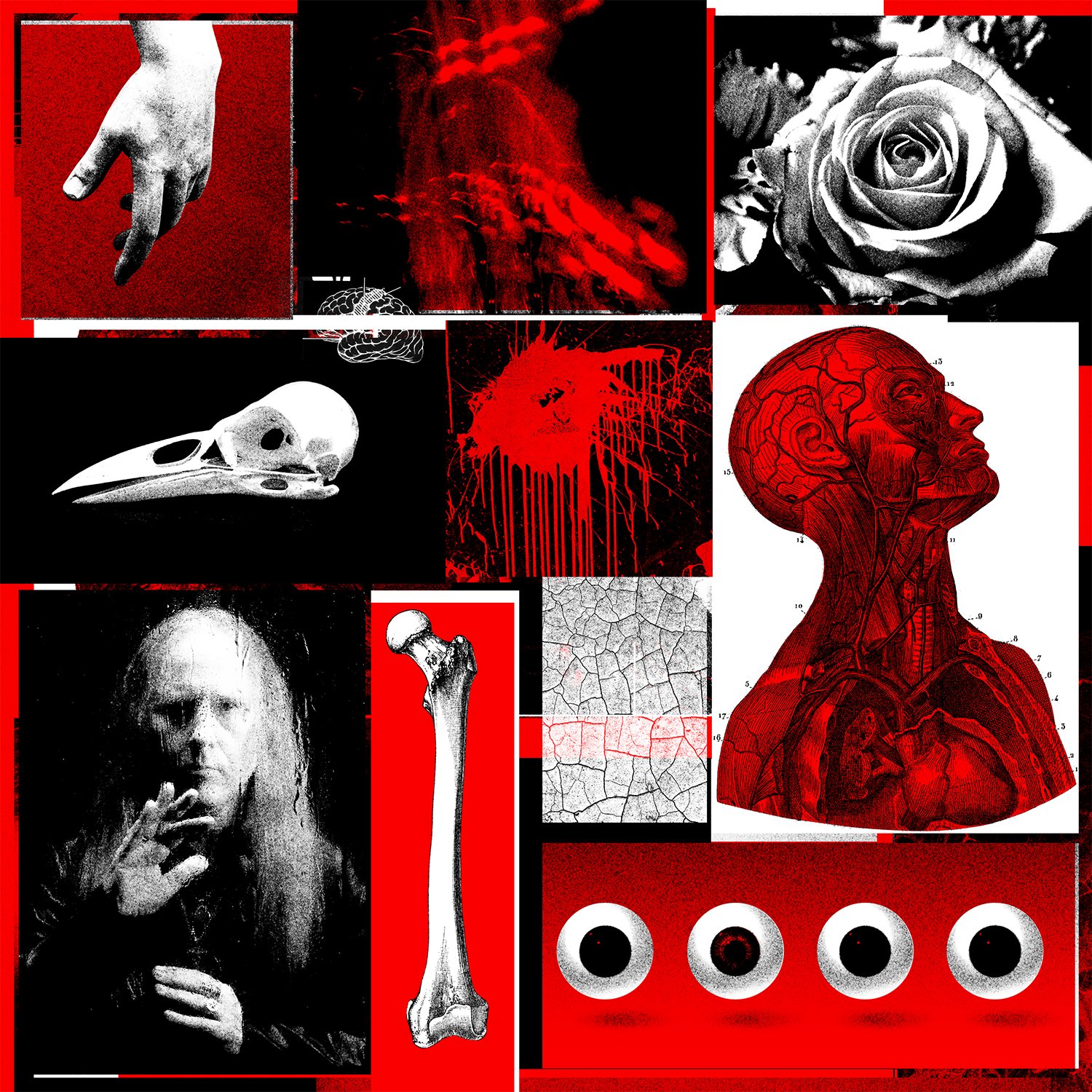 JC_IWB_collage04.jpg