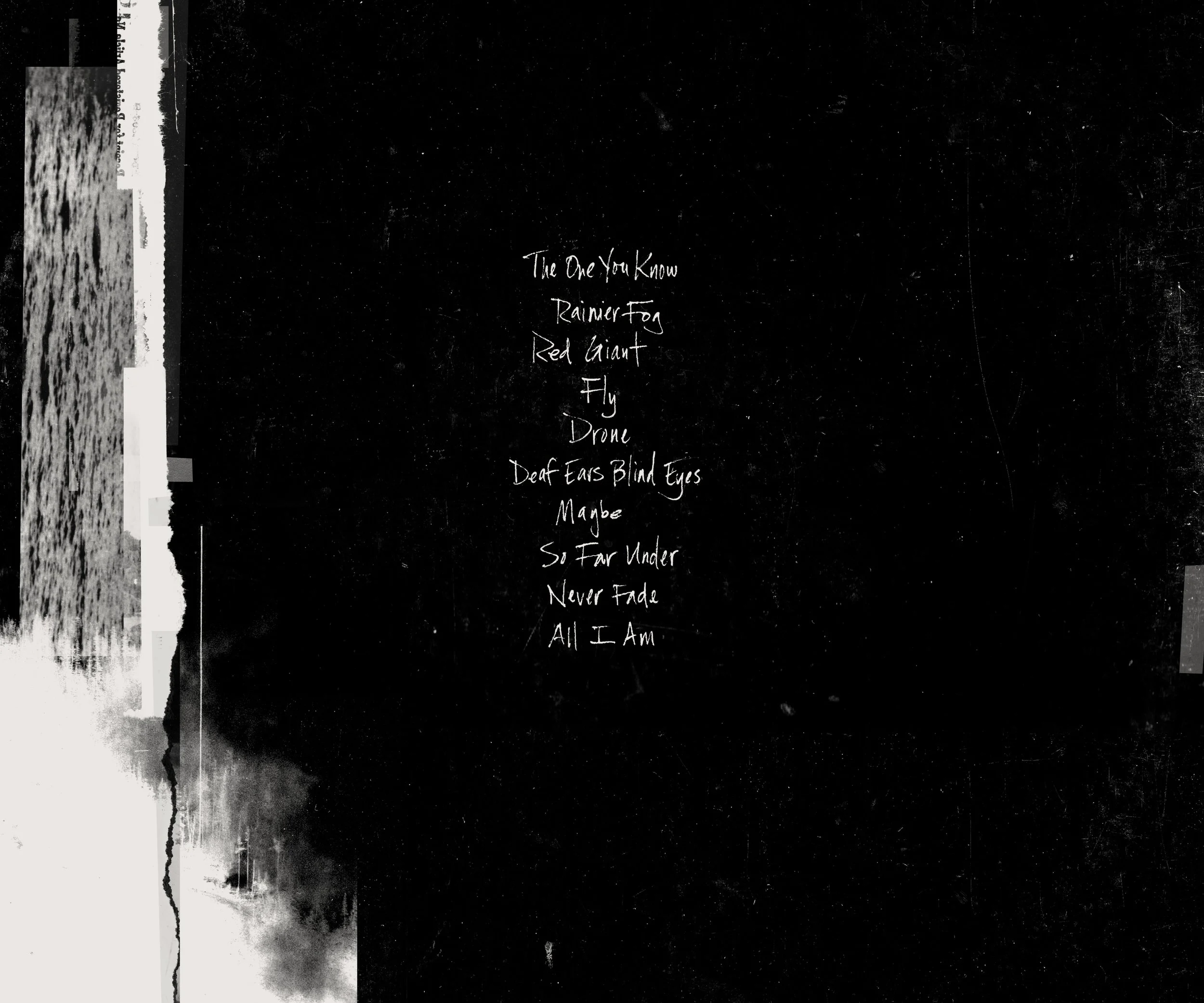 AIC_vinyl_back copy.jpg