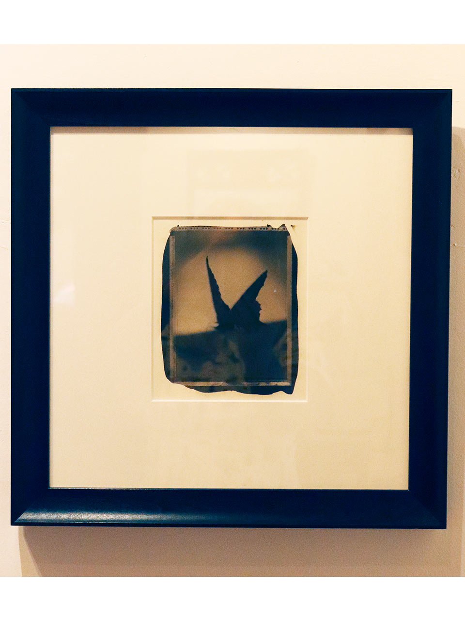 butterfly-framed.jpg