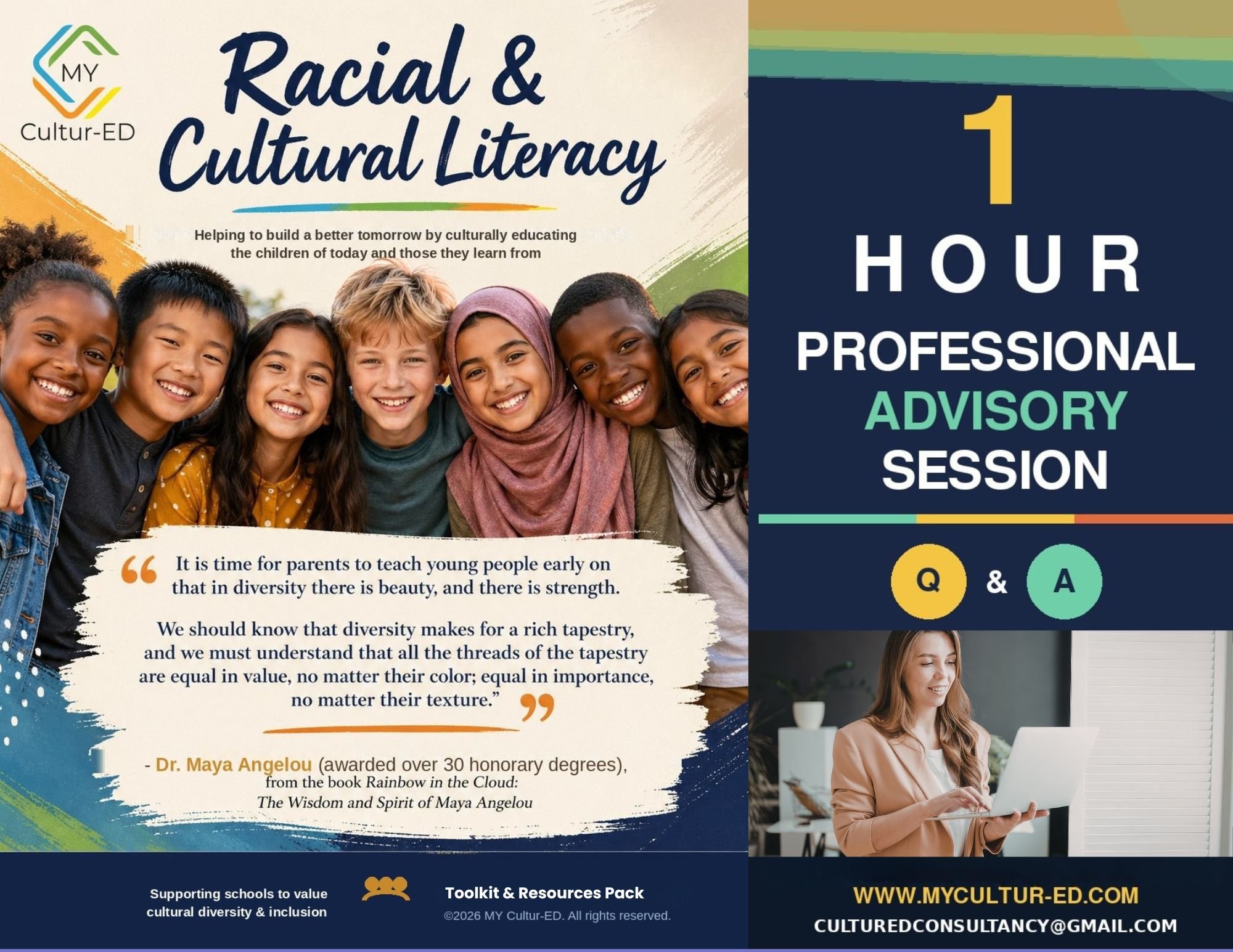 Racial & Cultural Literacy Toolkit + 1 Hr Professional Advisory Session