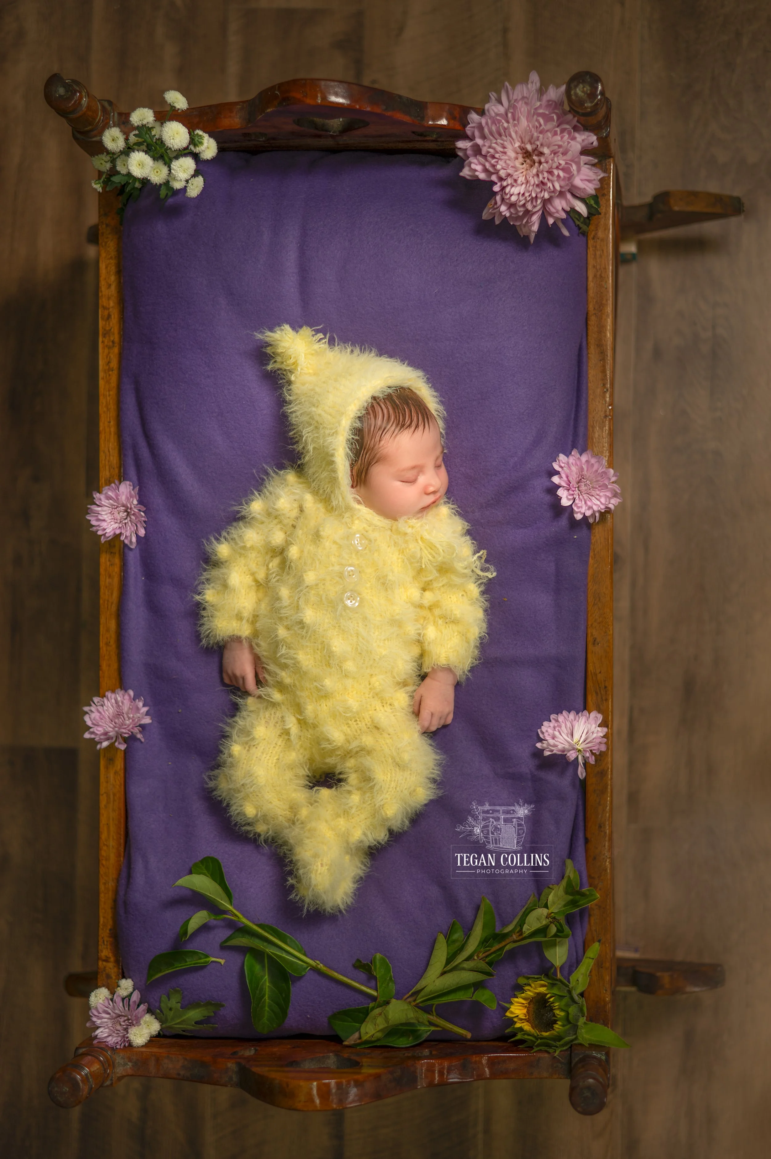 A newborn Baby is seen sleeping her an antique cradle on a purple blanket while she wears a yellow fuzzy knitted suit and pixie hat. Purple flowers are laid around her.