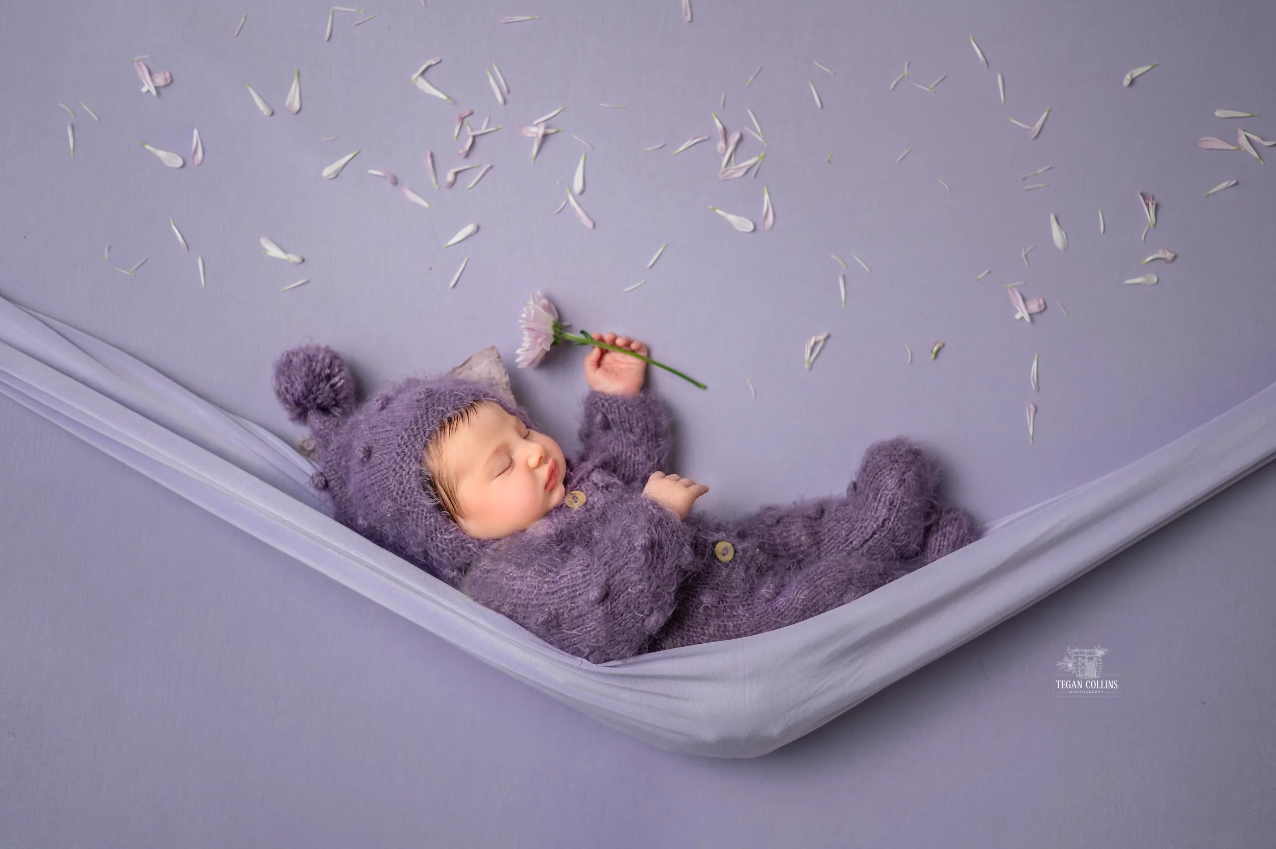 A baby wearing a purple fuzzy knitted suite is suspended in a light purple hammock while holding a purple flower.