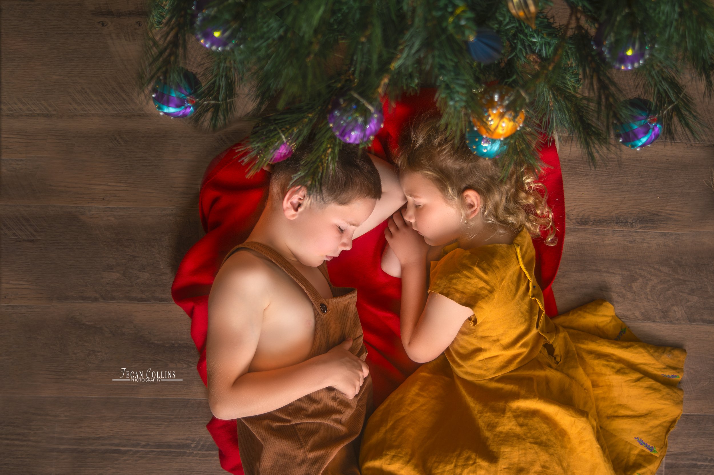 Sleeping under the Christmas Tree