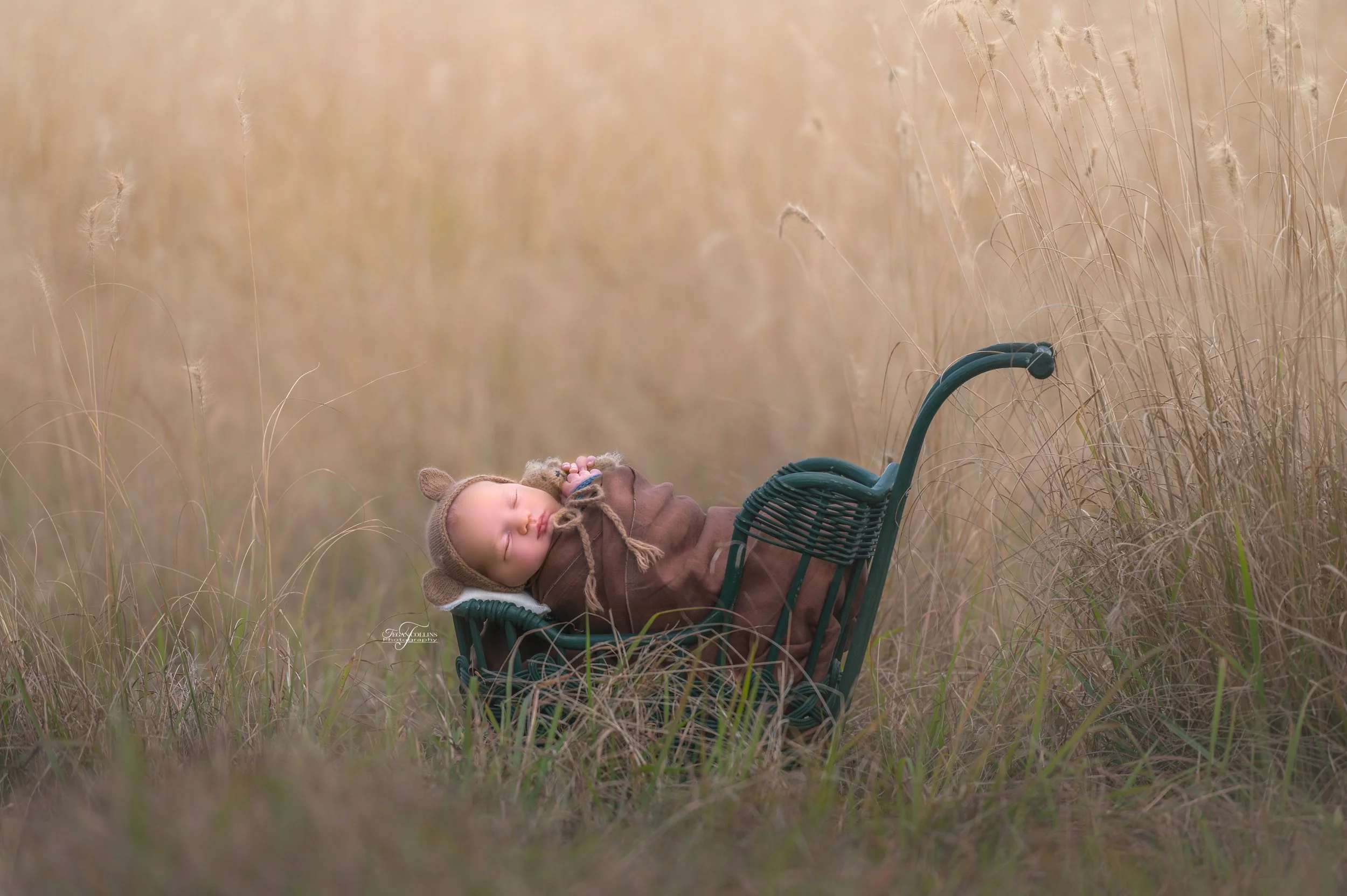 A newborn baby wrapped in a brown wrap lays in an antique doll pram amongst the winter grass. 