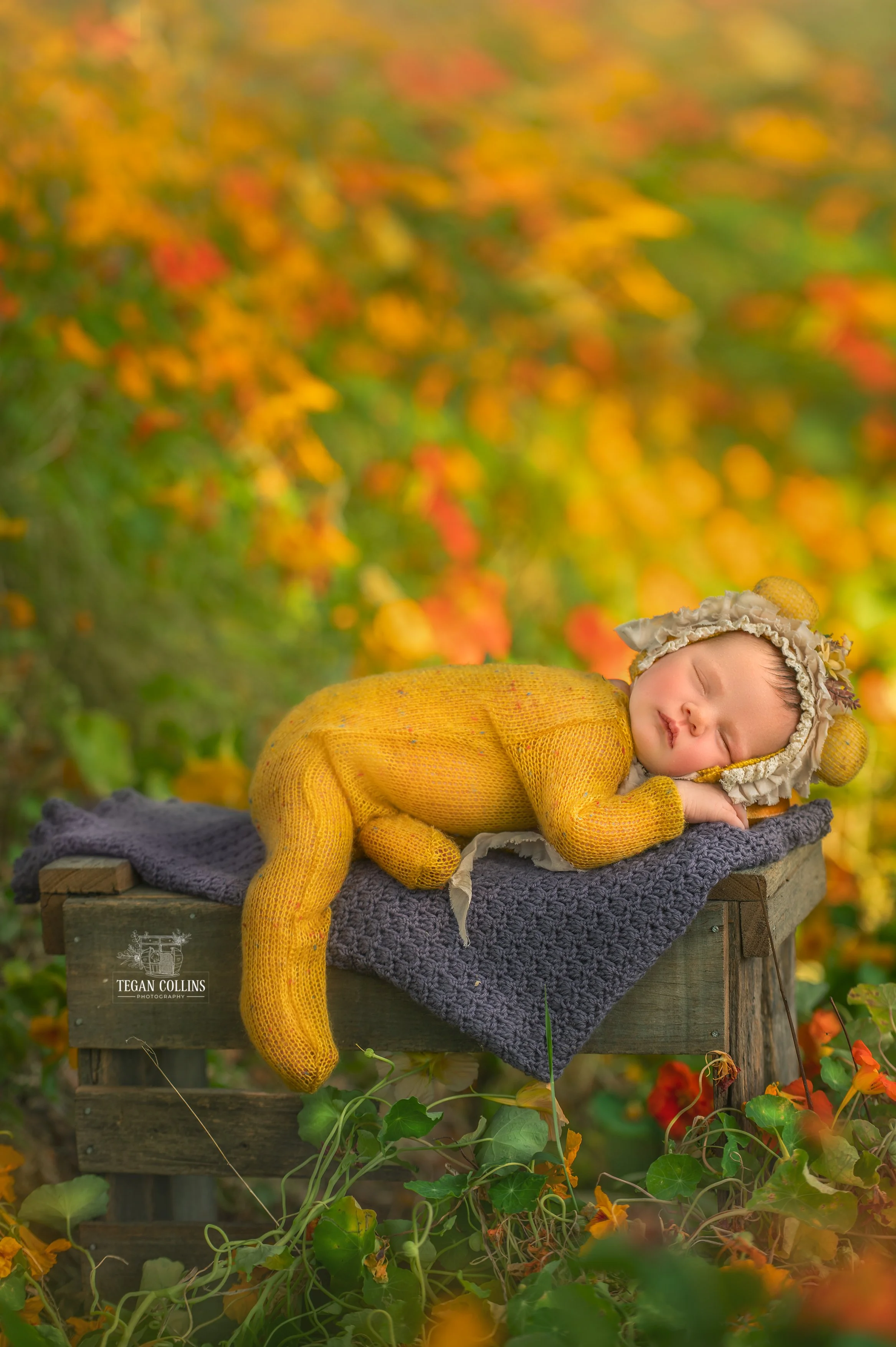 A newborn baby girl in a yellow suit mimicks the colours of the flowers behind her.