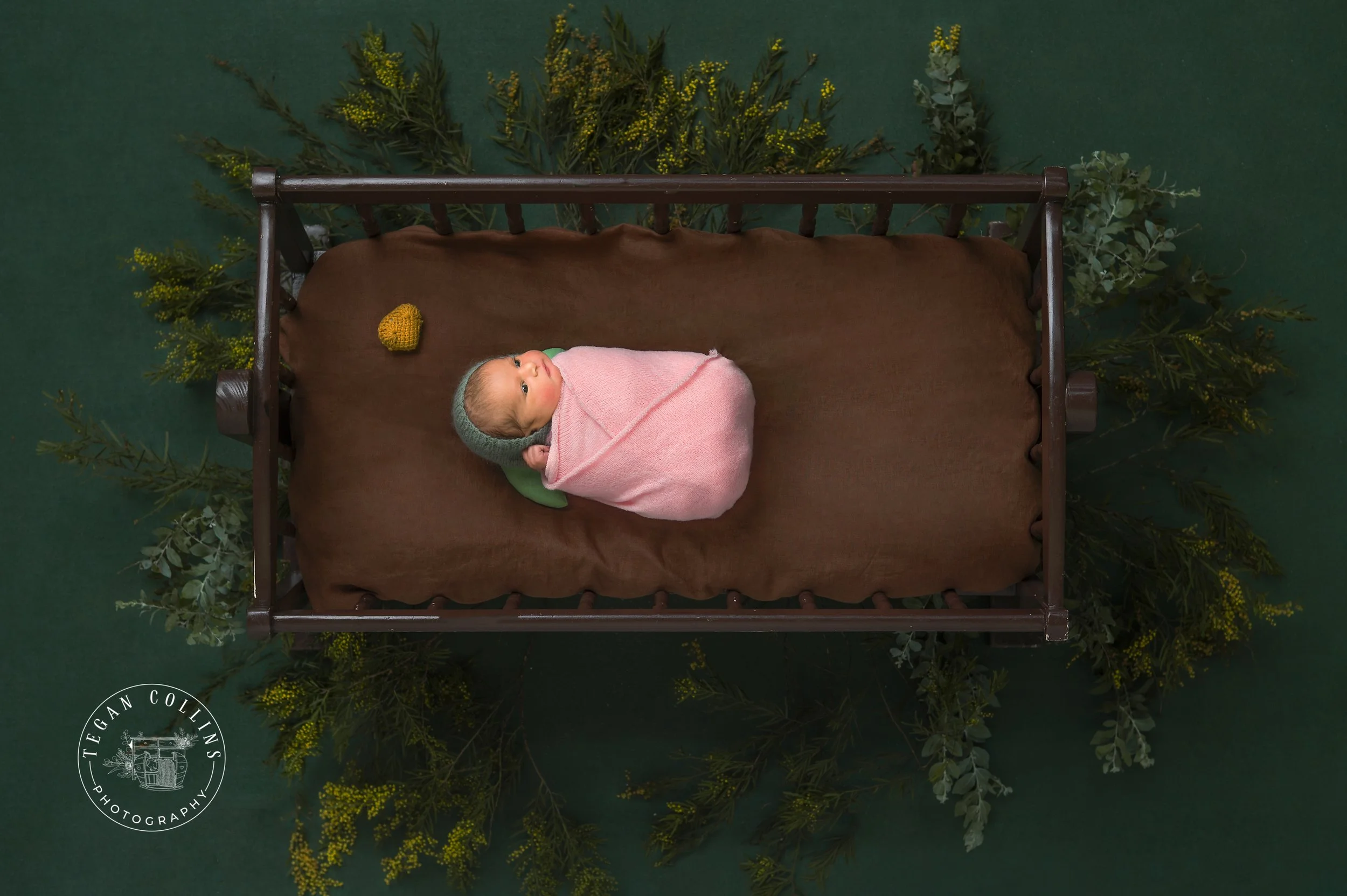 A newborn baby girl is wrapped in pink on top of a brown linen blanket in a antique cot. The background is a deep green and golden wattle is seen underneath the cot. 