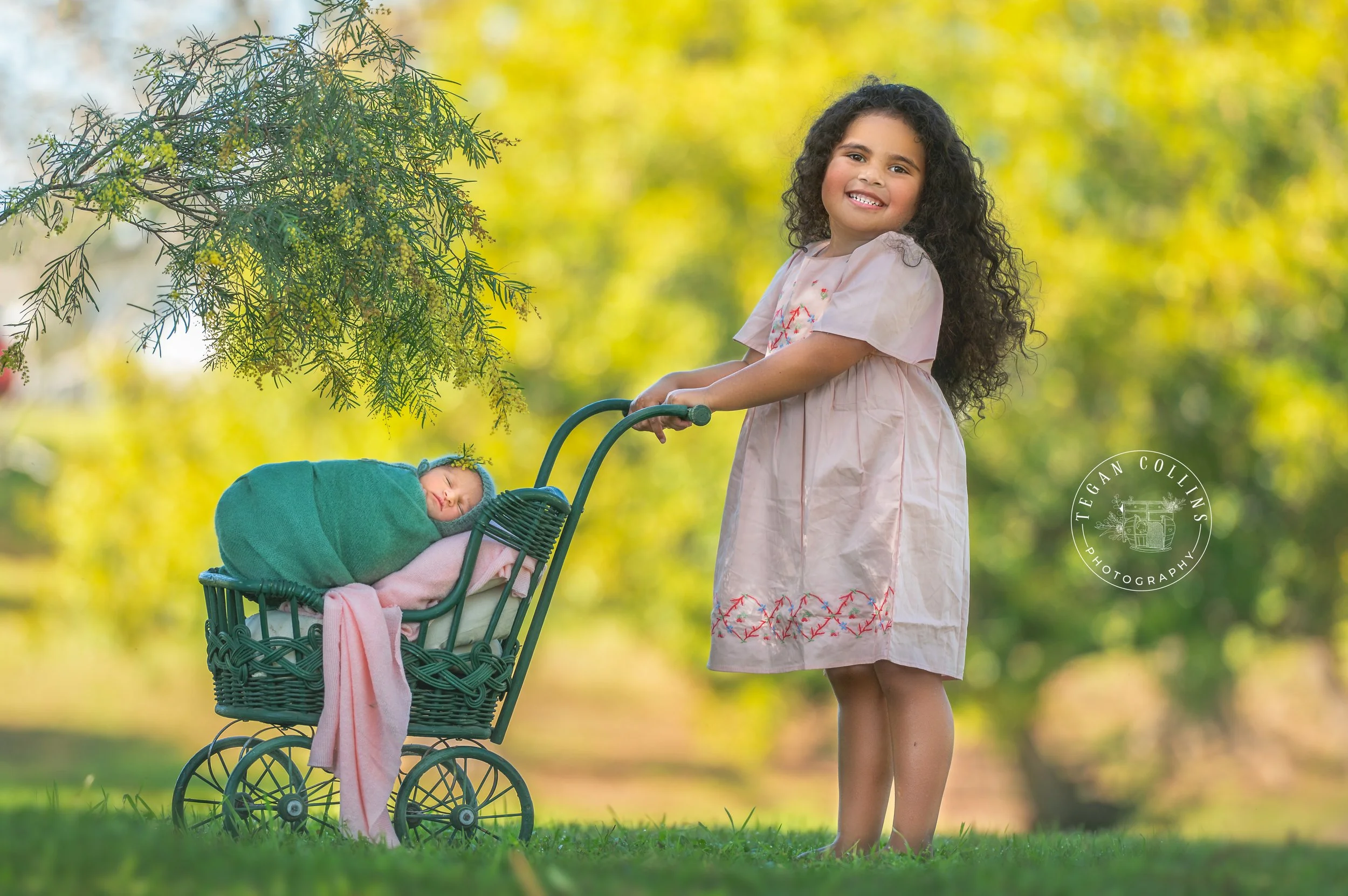A big sister wearing a pink dress. holds a 1920's doll pram with her newborn baby sister sleeping soundly inside. The newborn baby lays on top of a pink blanket while wrapped in a soft green.