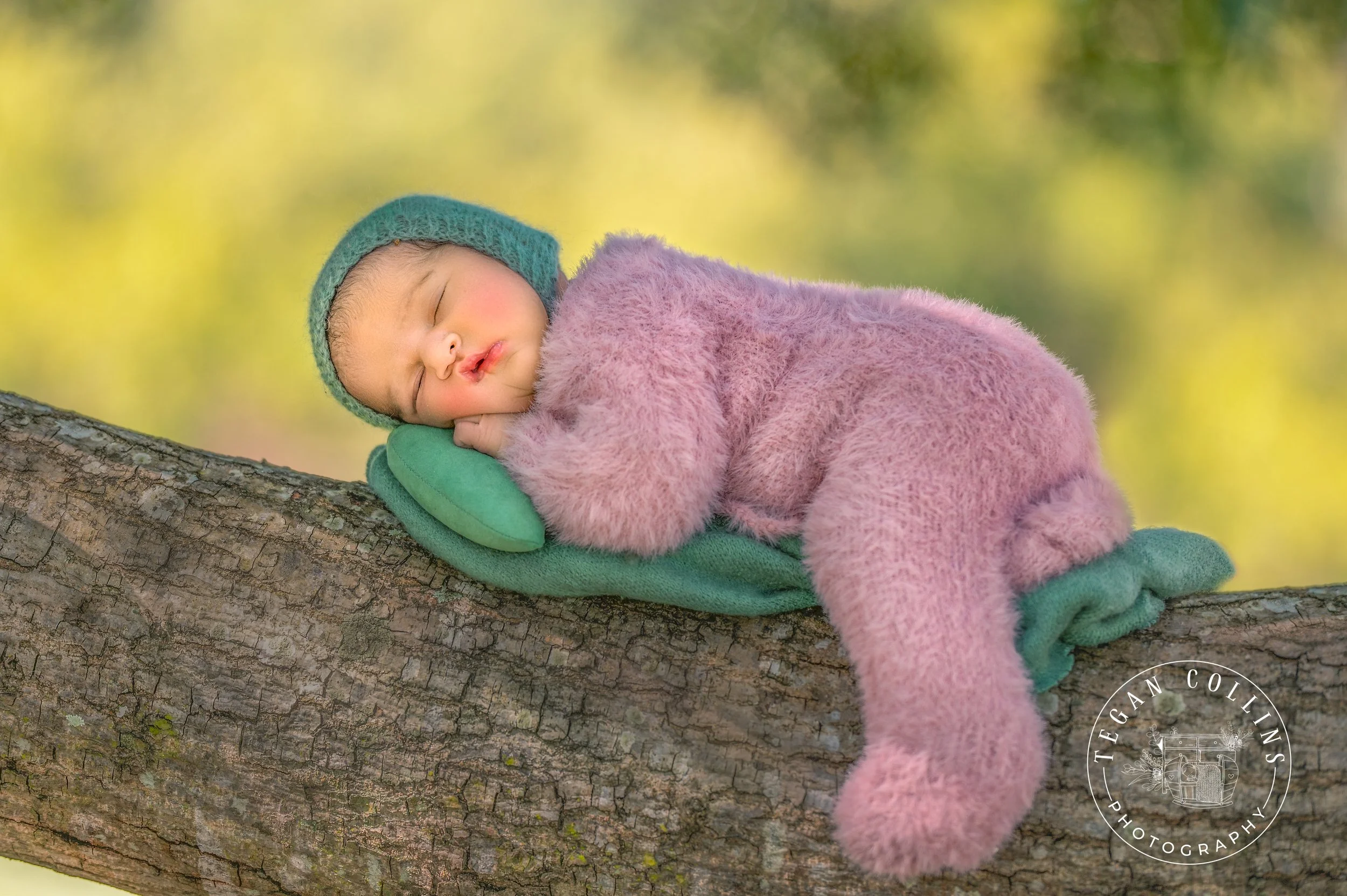 A newborn baby wearing a pink cashmere suit and a green bonnet is seen sleeping on a tree branch