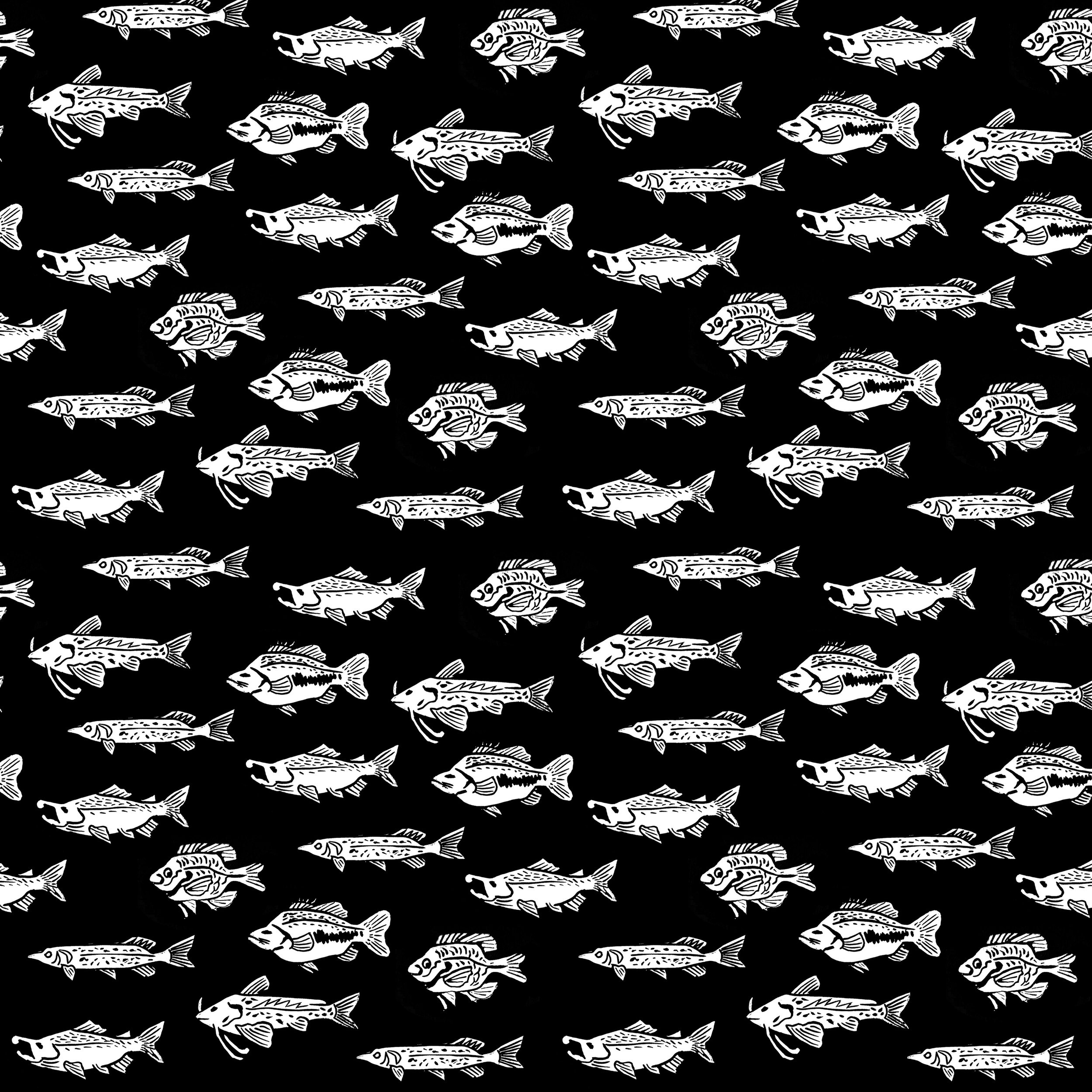 fish print for post4.jpg