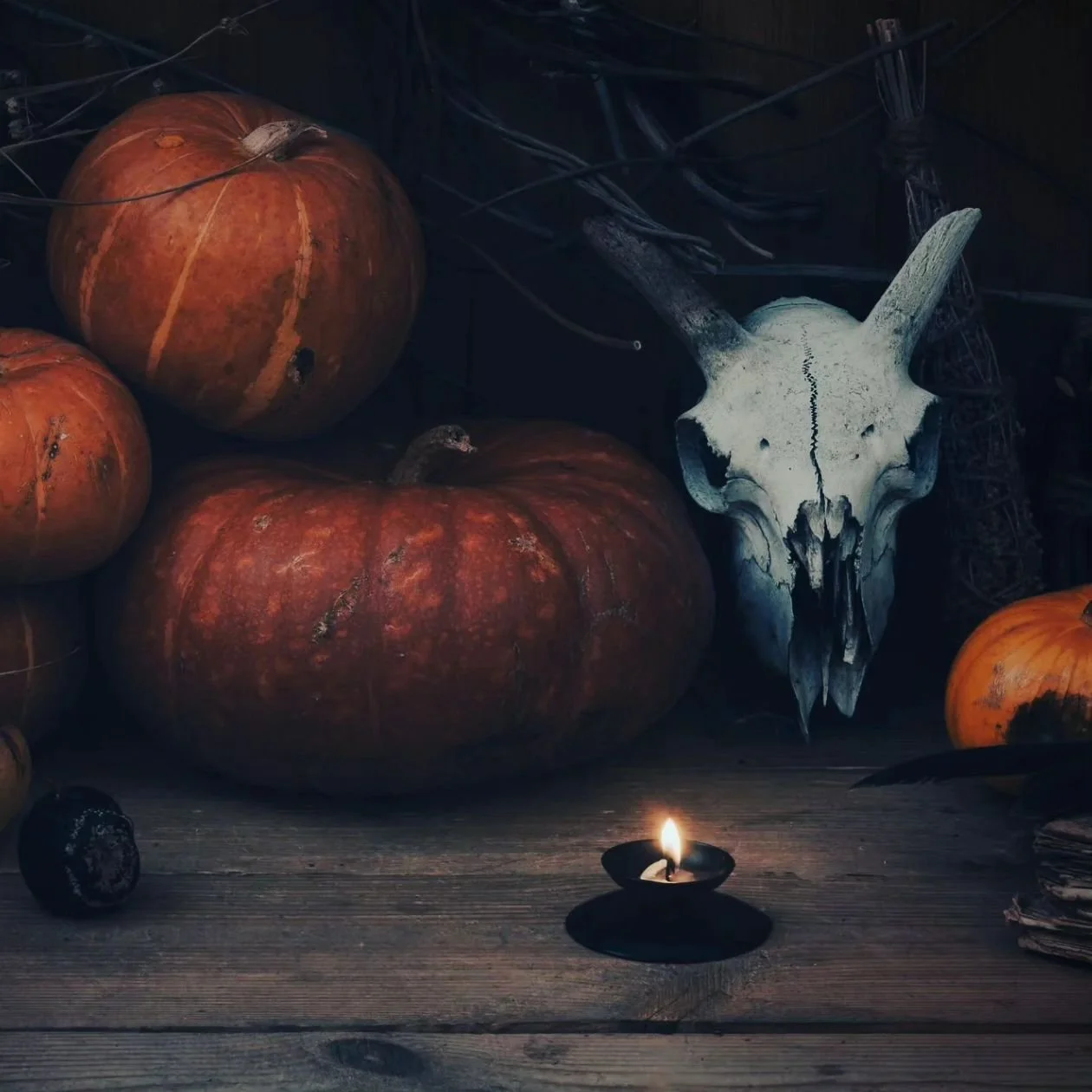 As I sit here on the day before Samhain, a time also celebrated as Halloween, Diwali, and Dia de los Muertos in various traditions, it fills me with a sense of gratitude and reflection. On this day, I set aside time to honor the countless ancestors w