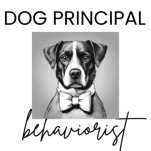 Dog Principal