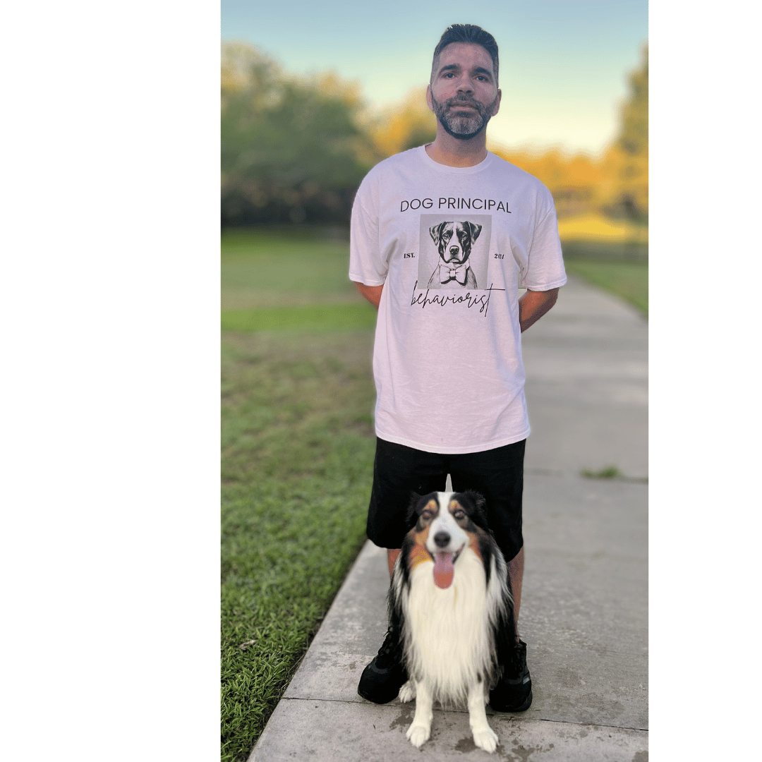 Dog training expert - personalized care for well-behaved & aggressive ...