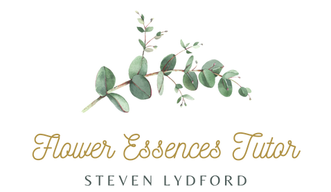 Flower Essences Tutor 