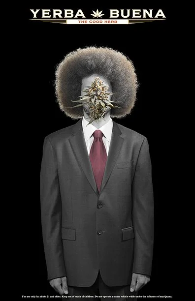 A cannabis nugget floats obsures the face of a unknown person with a large afro wearing a suit highlighting the contrast between the traditional cannabis industry and the new corporate one.