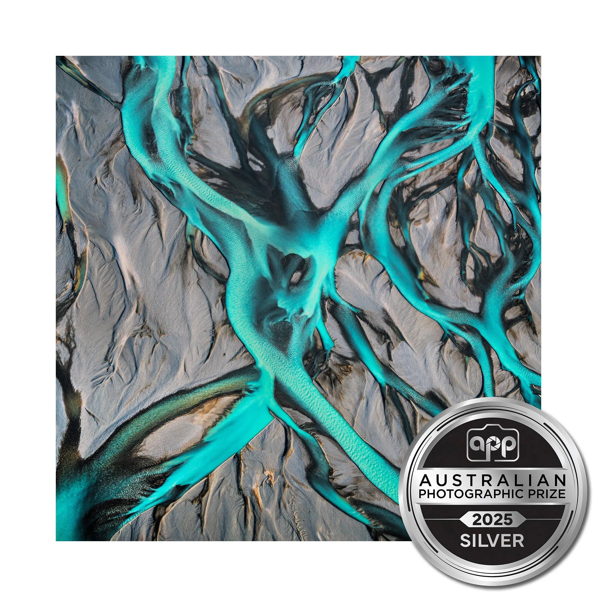 Dancer Silver.jpg