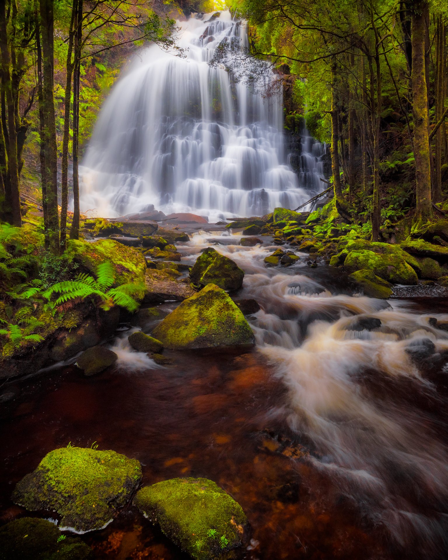Nelson Falls.jpeg