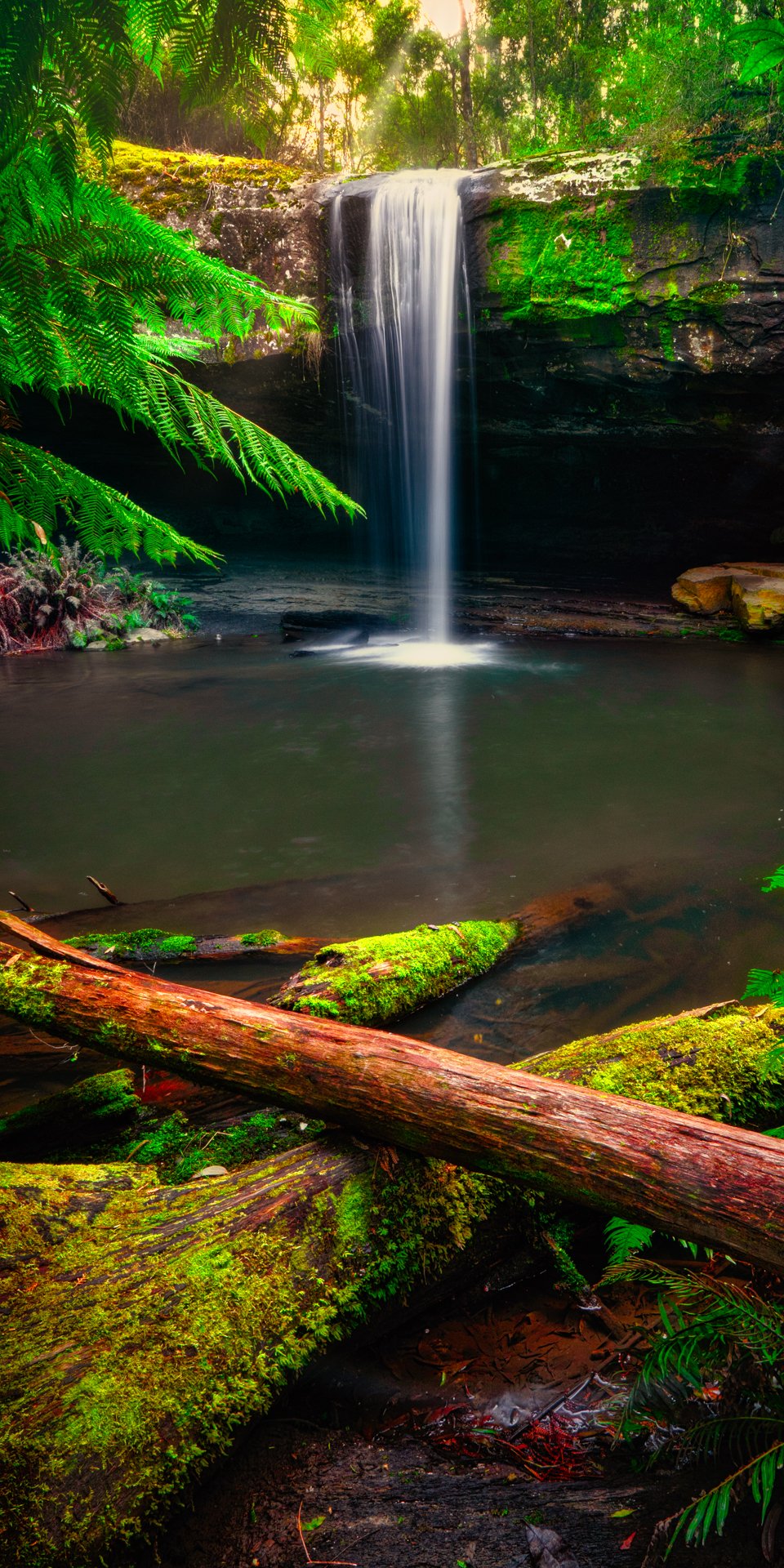 Lower Kalimna Falls Pano PRINT.jpeg