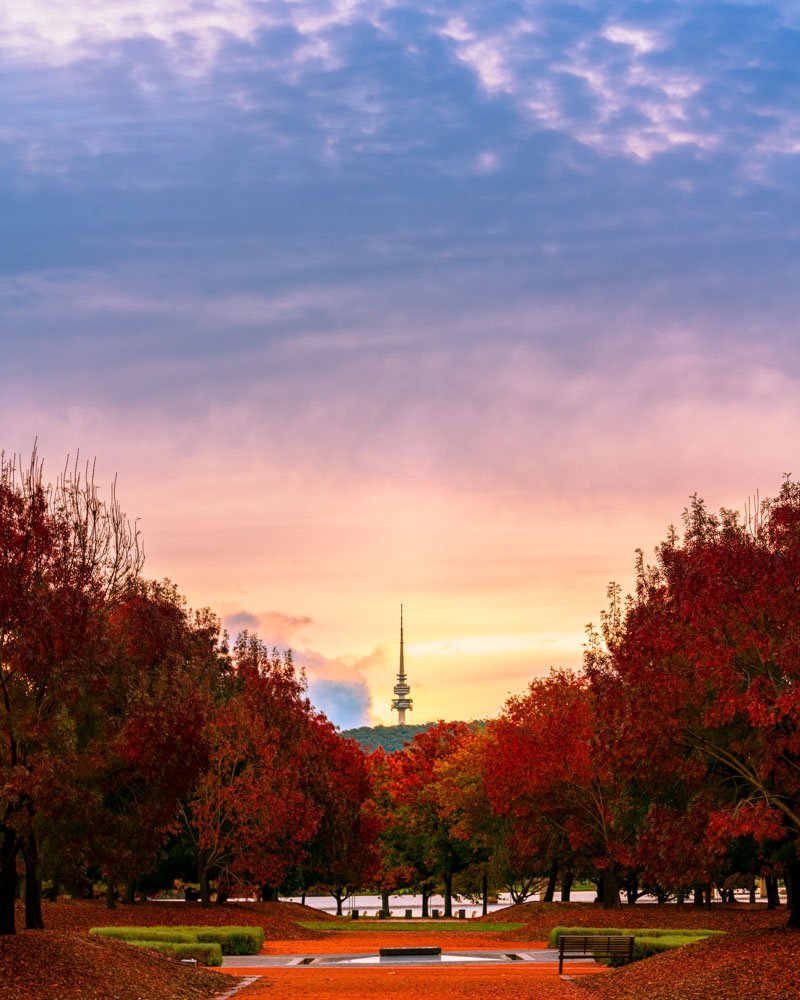 Autumn Tower.jpeg
