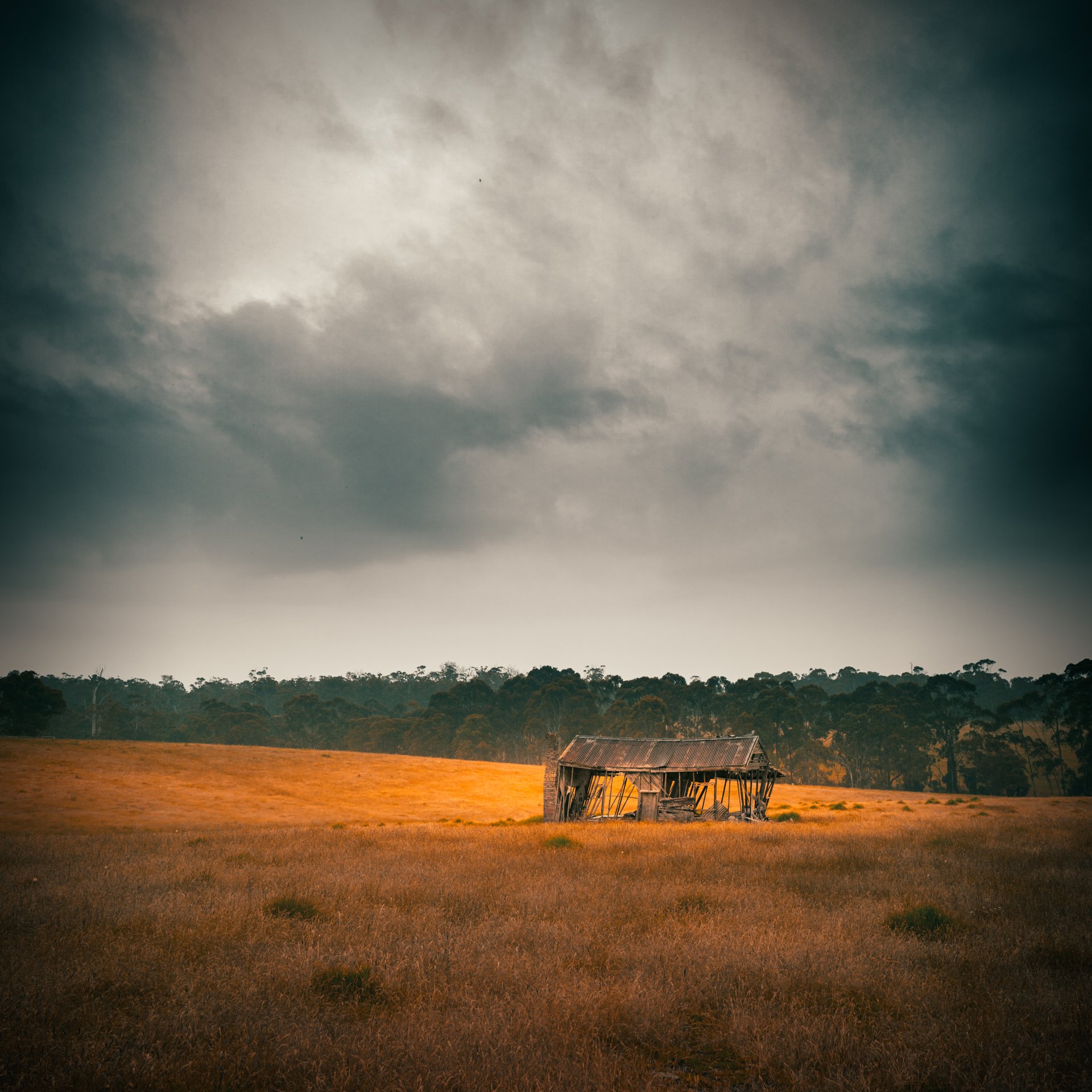 Rusty shed_1.jpeg