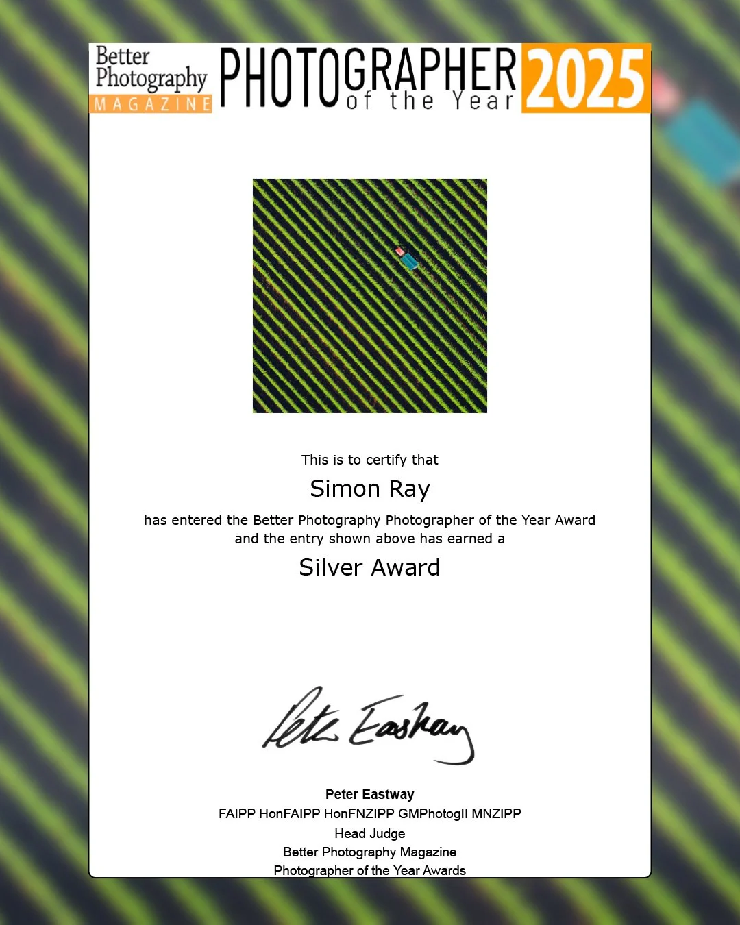 Award Social Harvest.jpg
