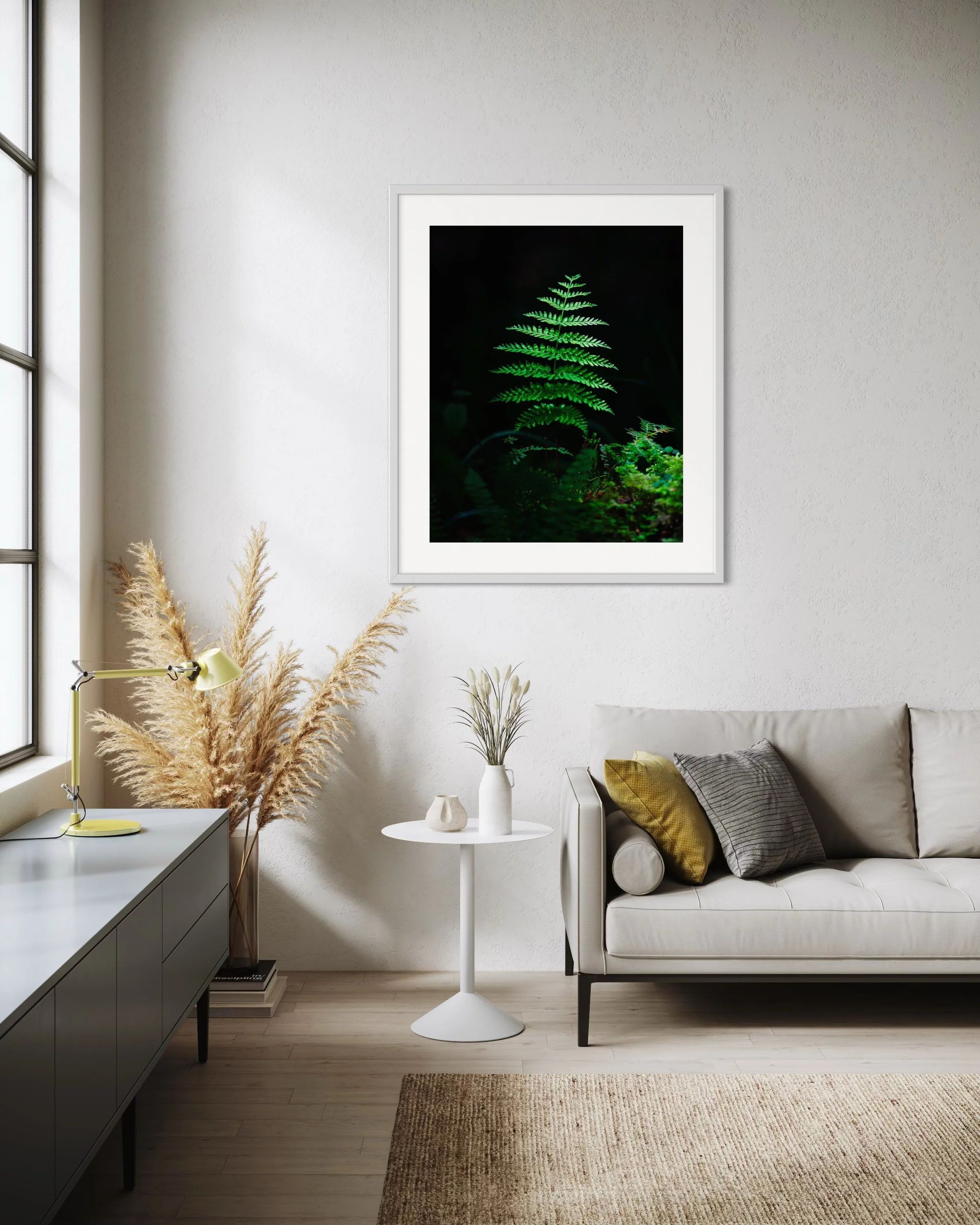 NZ Fern.jpeg