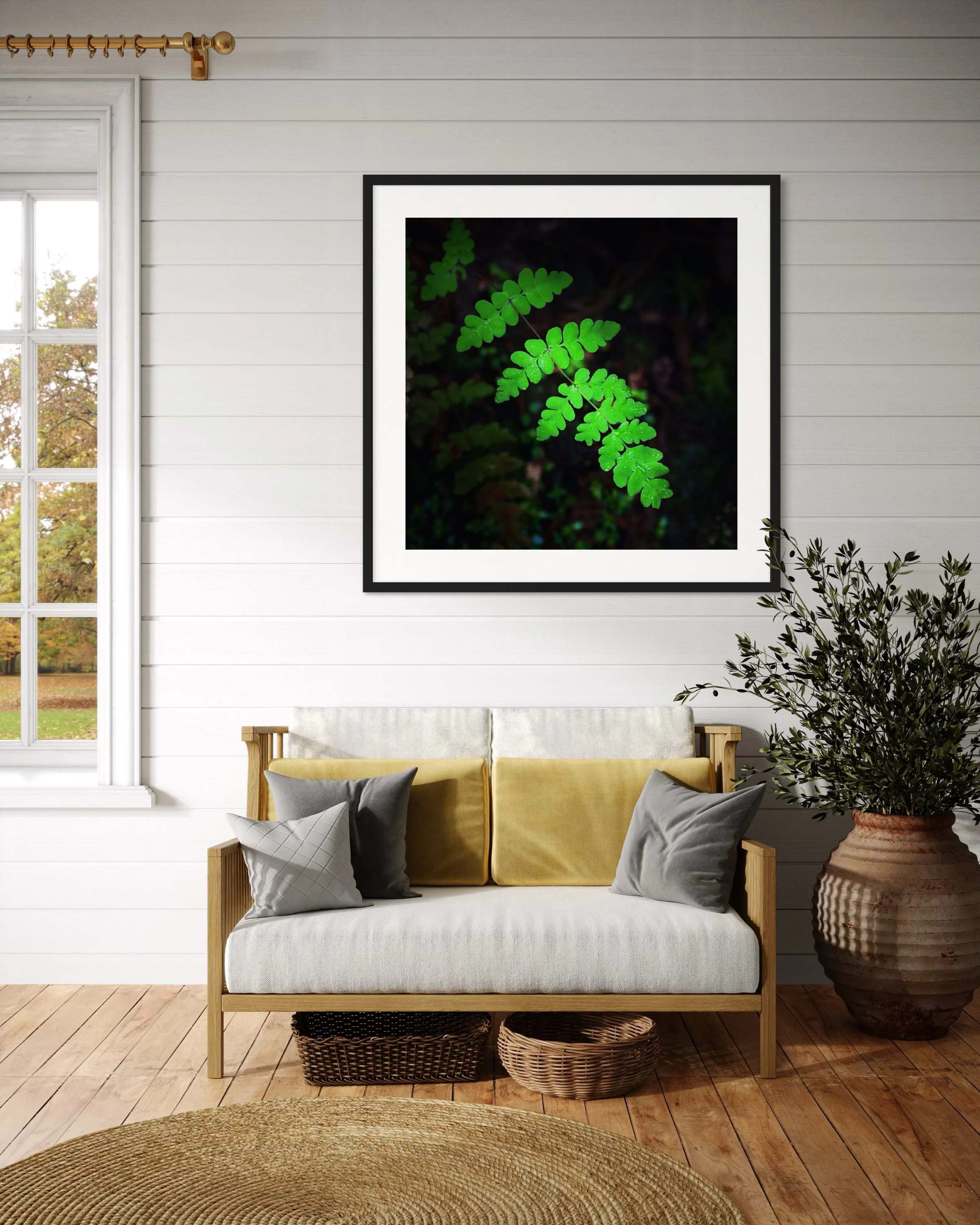 NZ Fern 2.jpeg