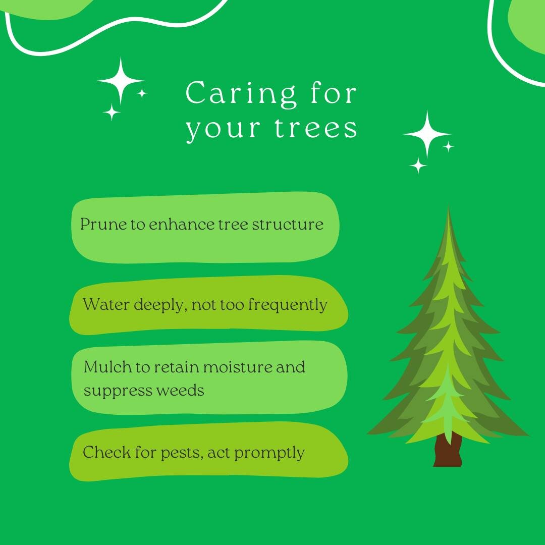 🌳✨ Tree TLC Tips: Mulch for moisture, prune for structure, water wisely, and keep pests at bay! 🌿💦 #TreeCare #GreenThumbs #NatureNurturing #Arborist #TreeService