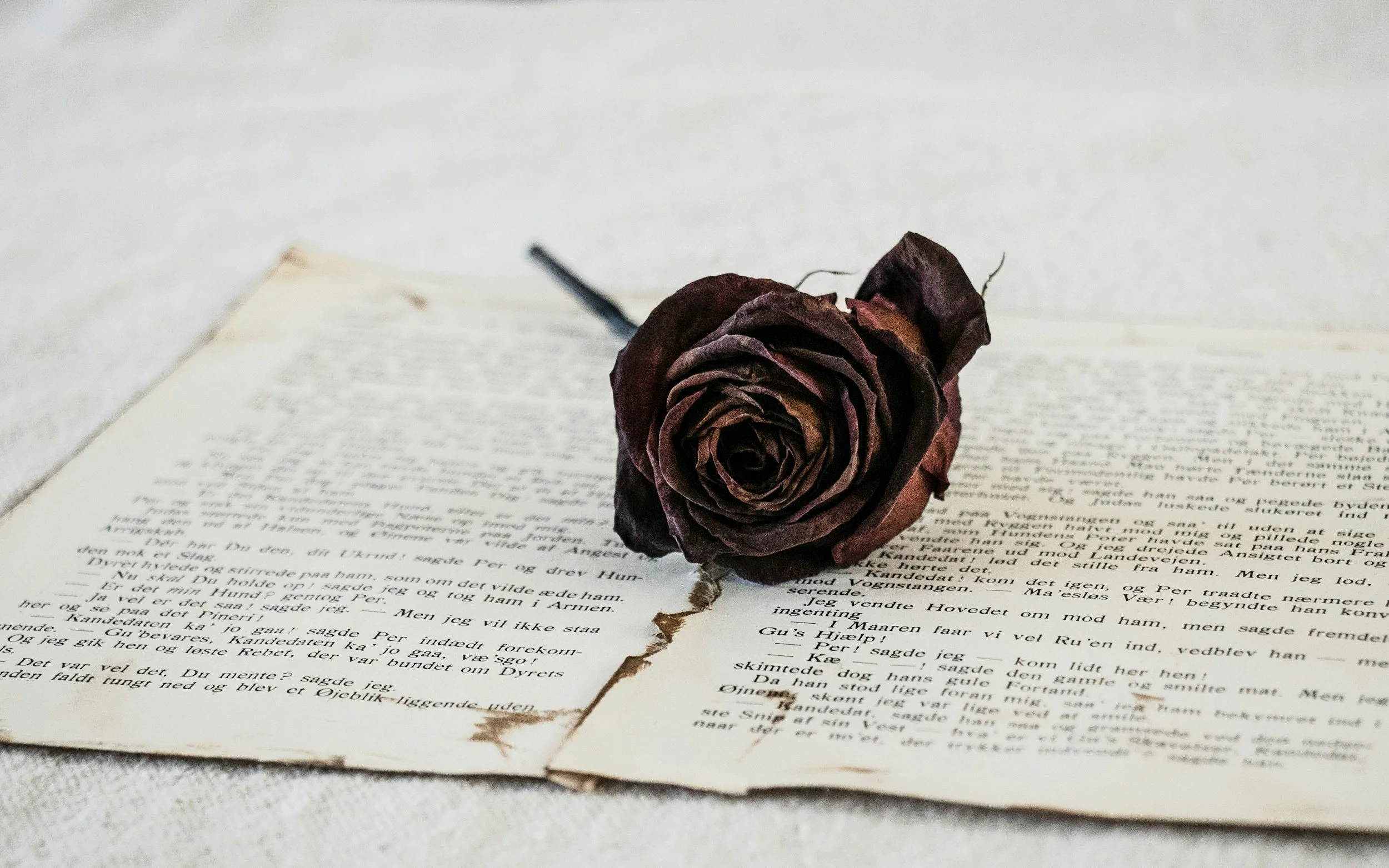 How Soon After A Loved One Passes Can I Receive A Mediumship Reading?