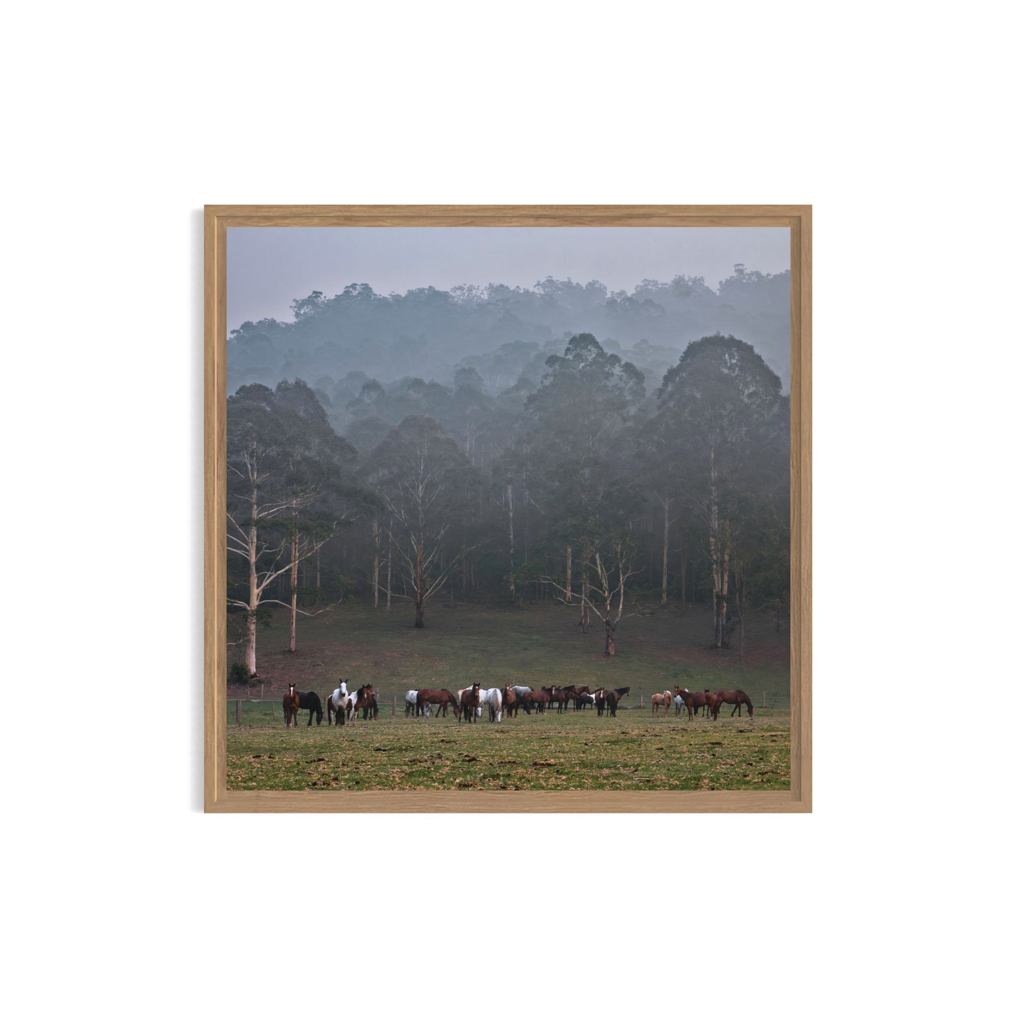 Gathering+in+the+Fog_metal+oak+frame.jpg