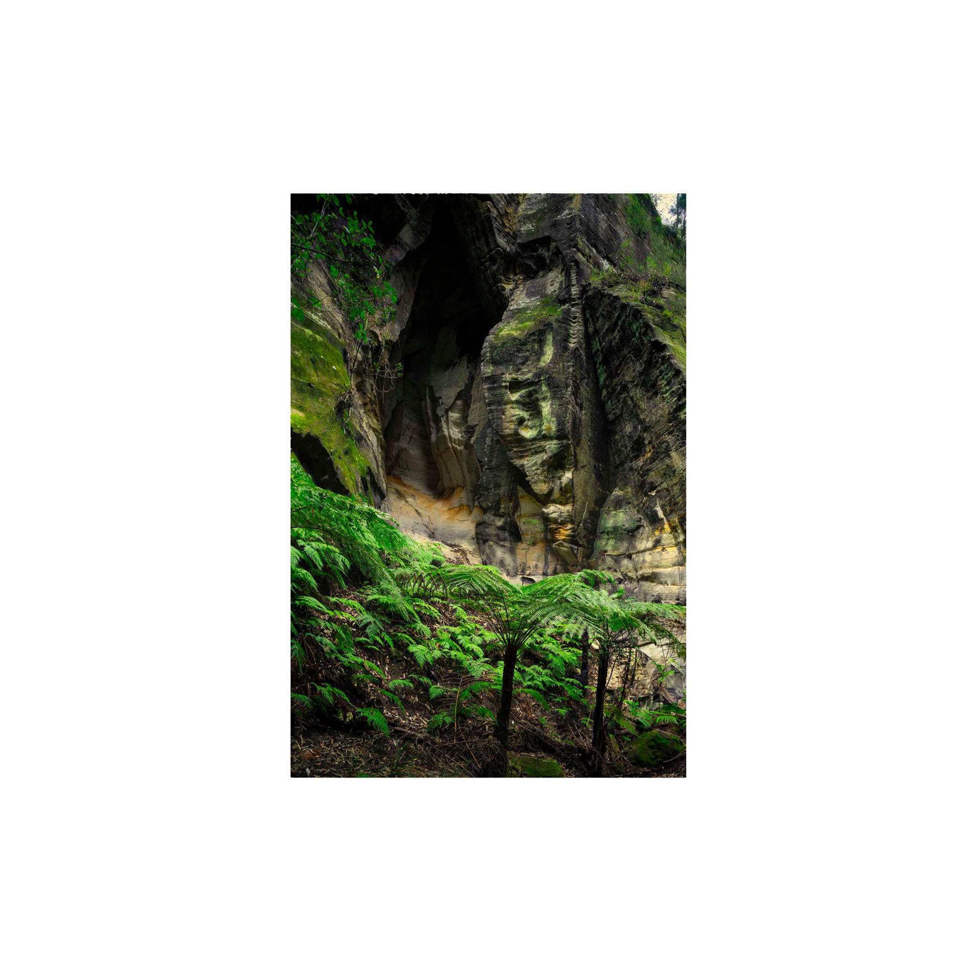 CANYON OF SECRETS_Unframed.jpg
