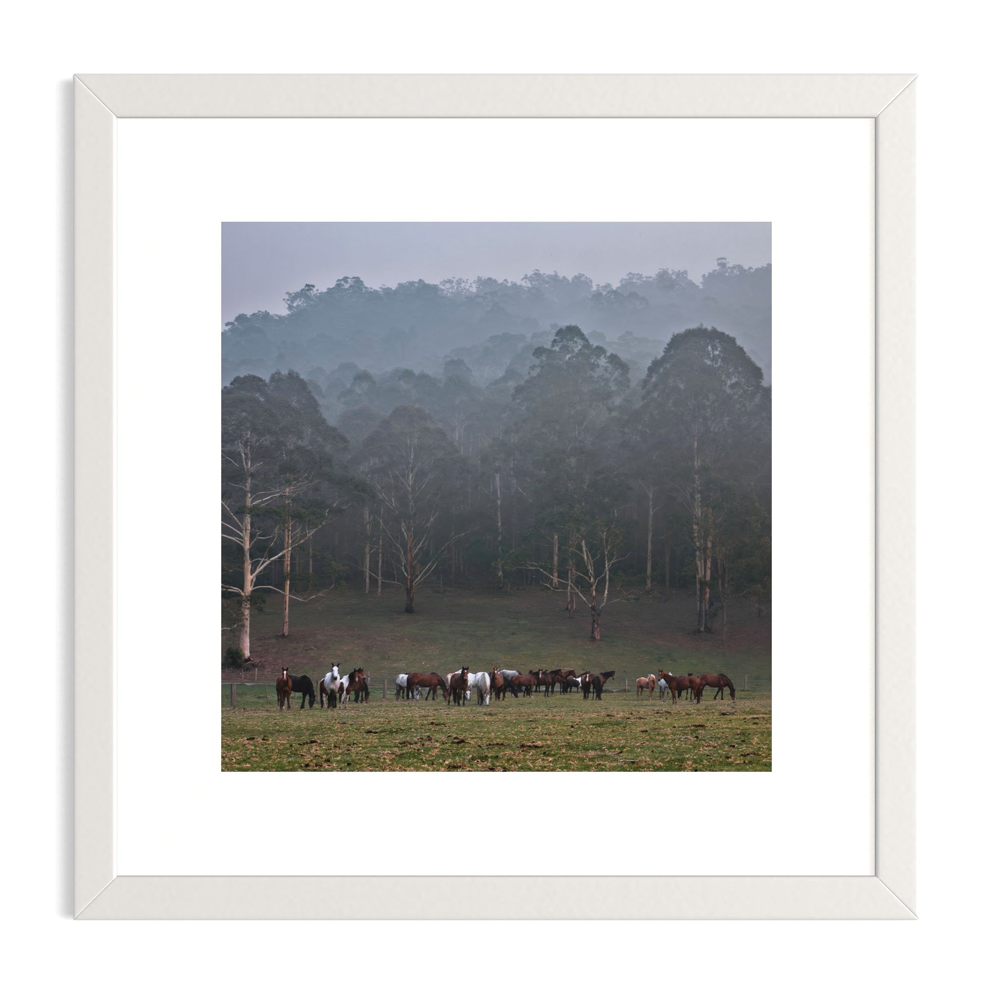 Gathering+in+the+Fog_white+frame.jpg