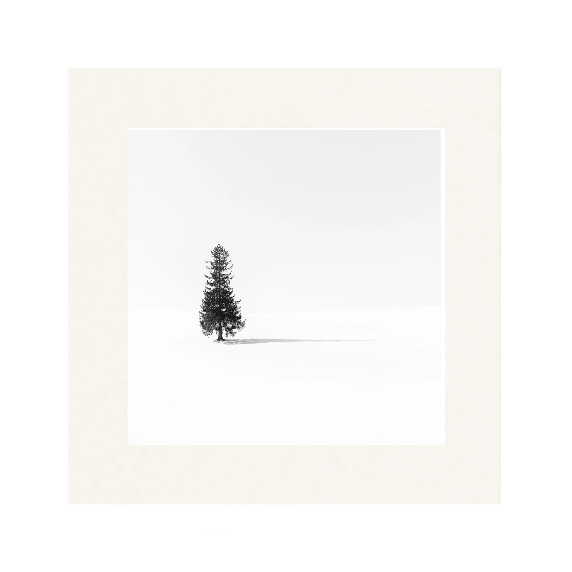 O Christmas tree_Mount Matted.jpg