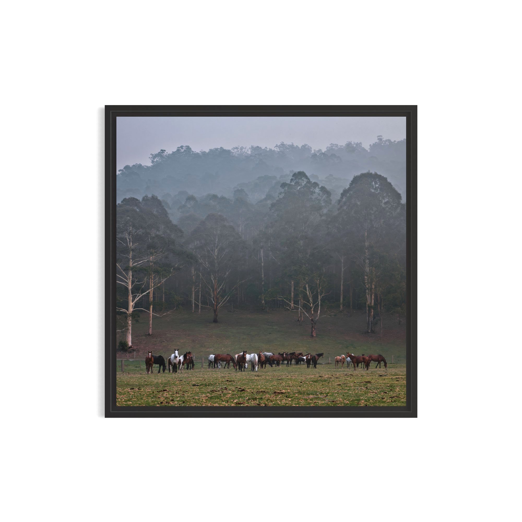 Gathering+in+the+Fog_metal+black+frame.jpg