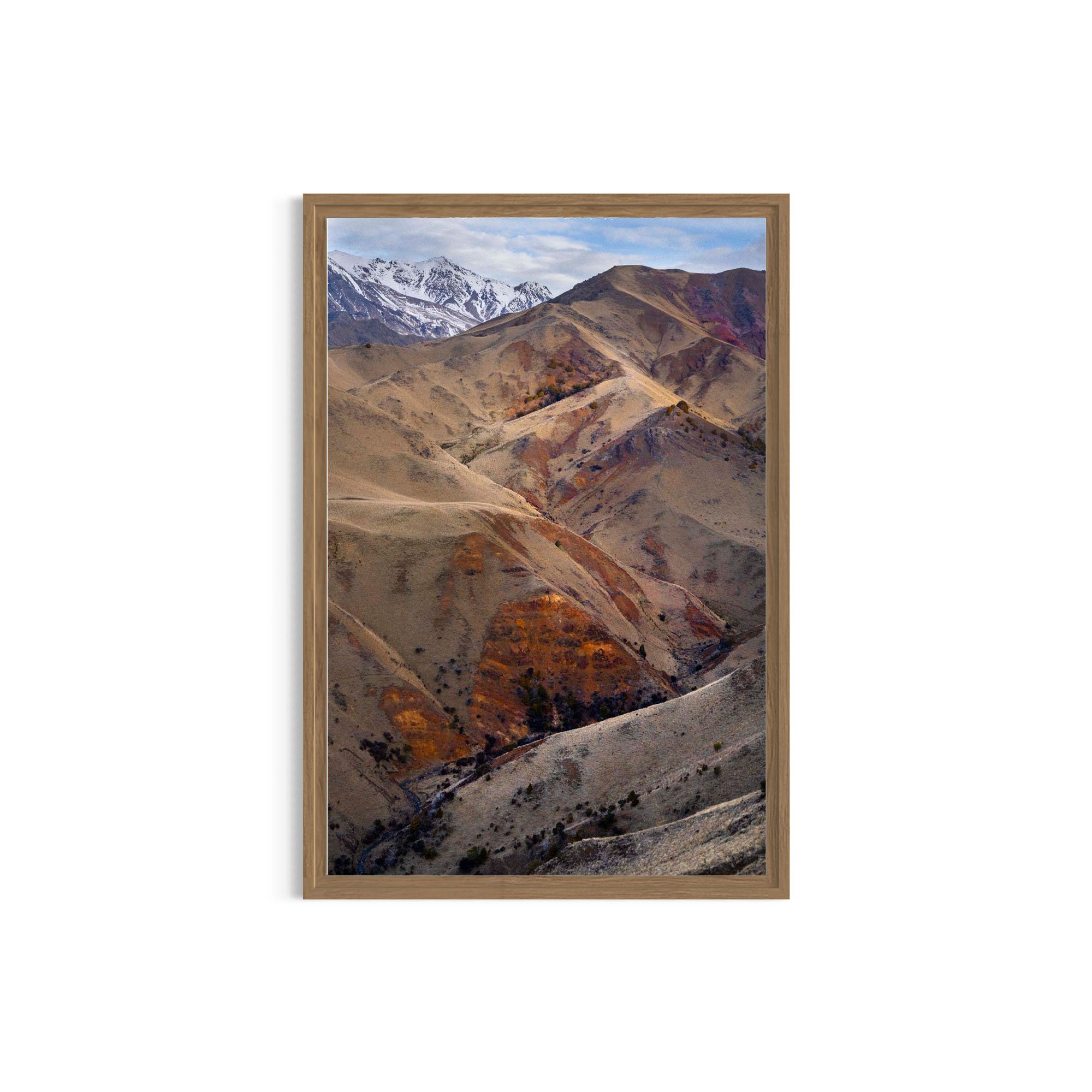 Middlehurst Mountains_metal oak frame.jpg