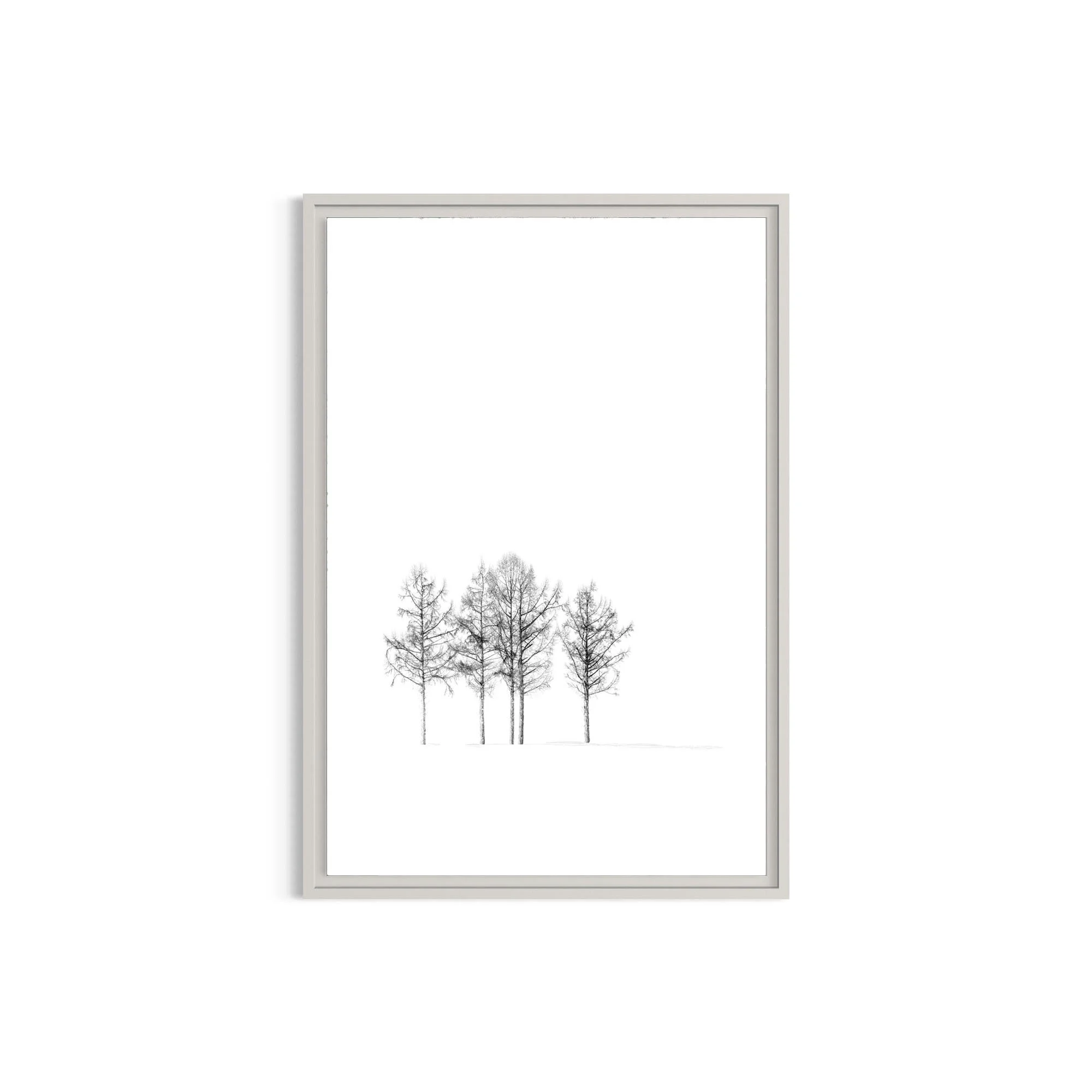 Standing Quiet minimalist landscape photography