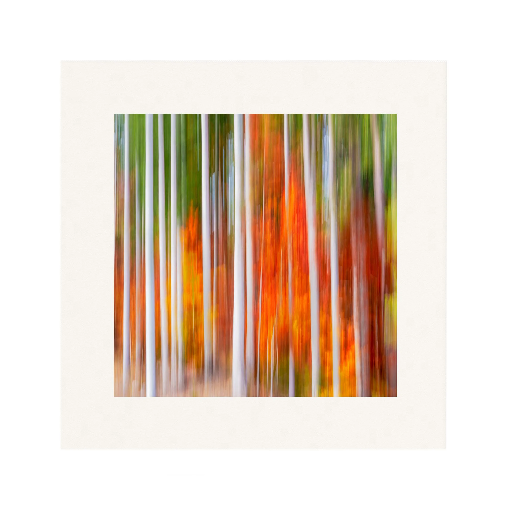 Vivid Autumn in  Dolomites Italy Photograph