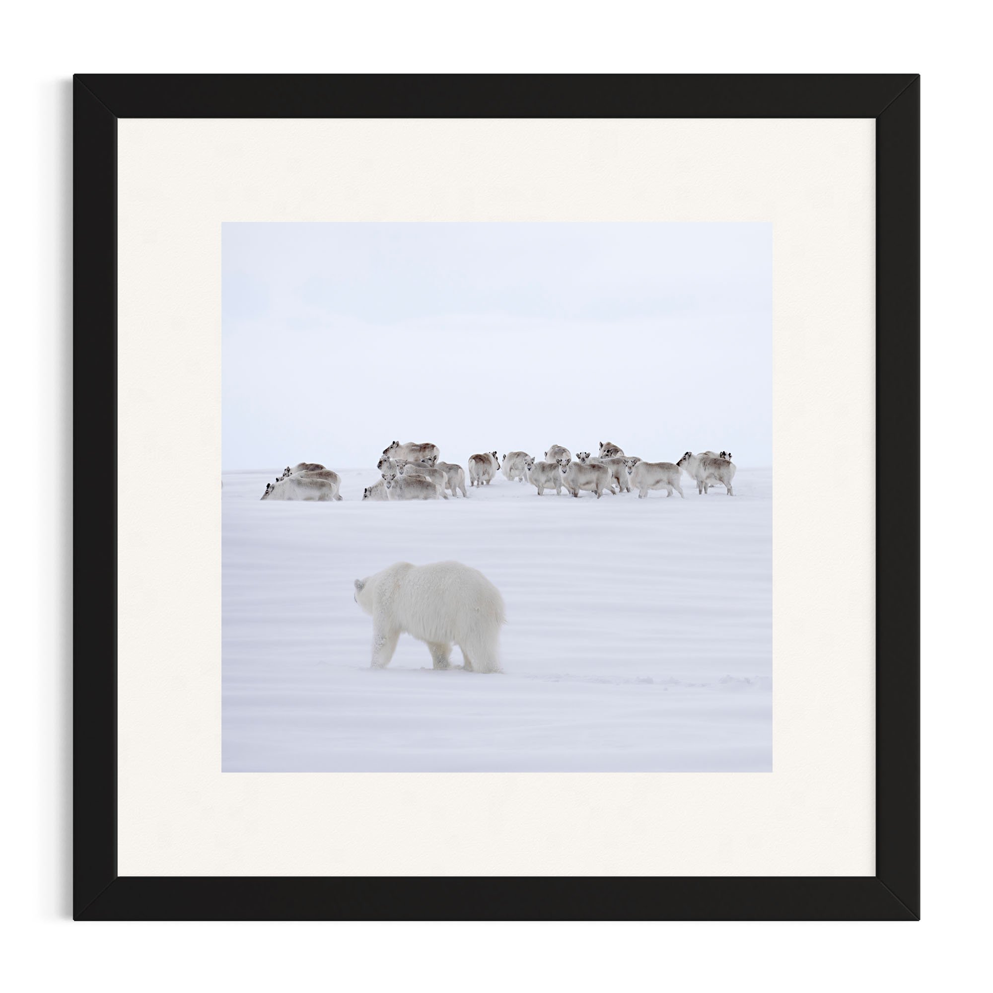 On Thin Ice_black frame.jpg