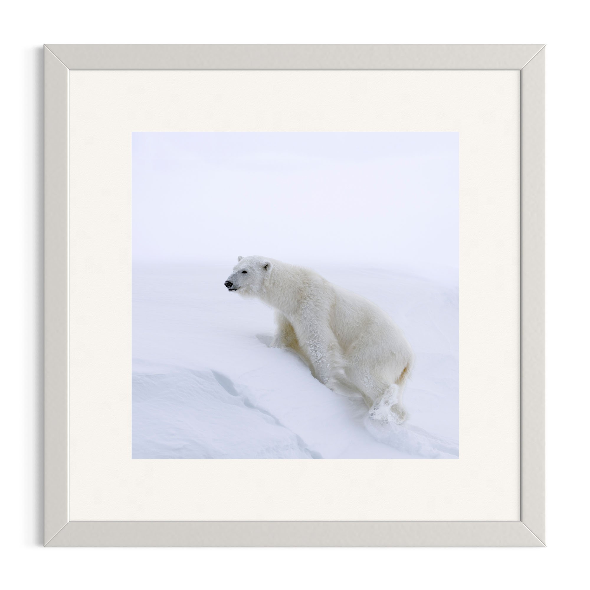 Uphill Battle_white frame.jpg