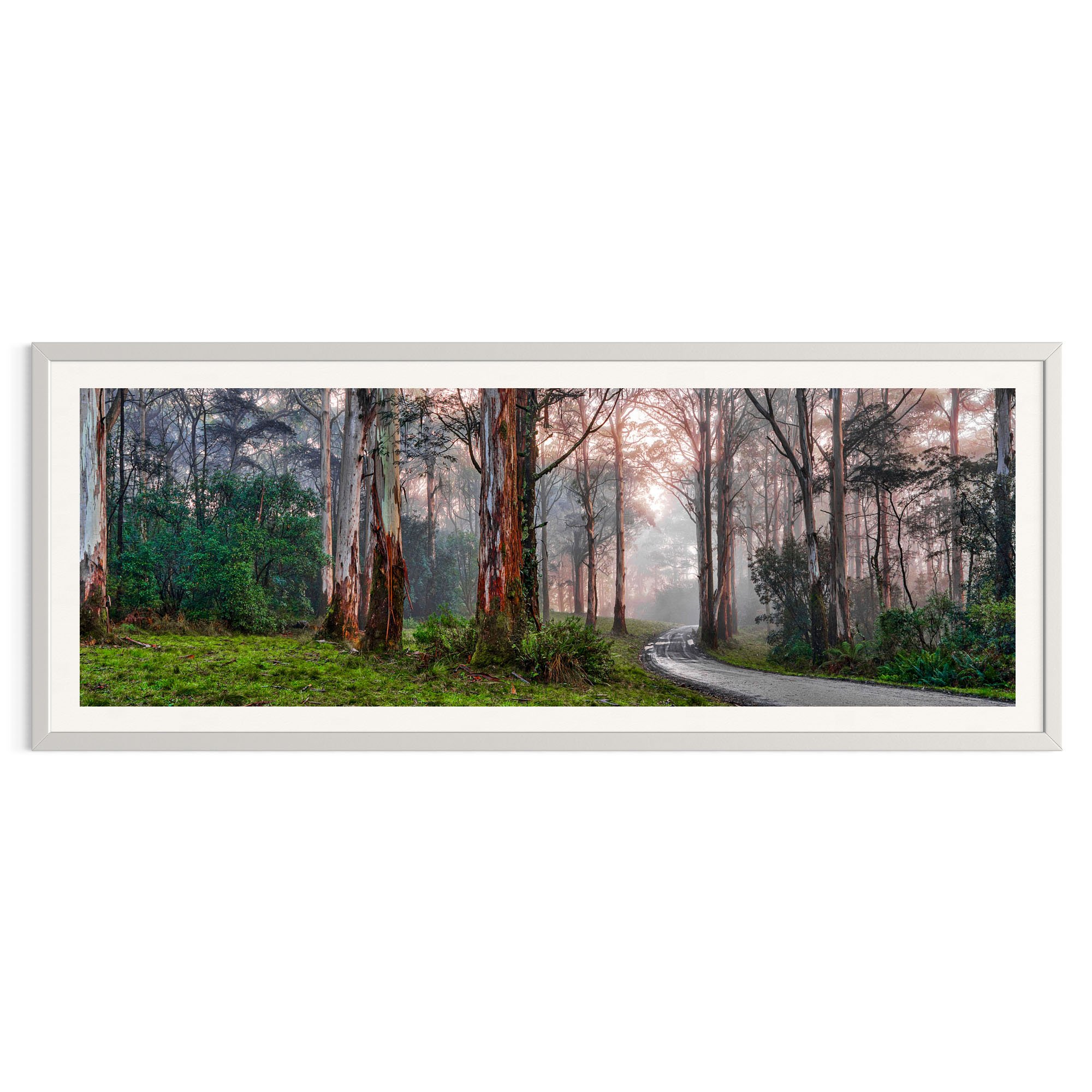 Misty Macedon_white frame.jpg