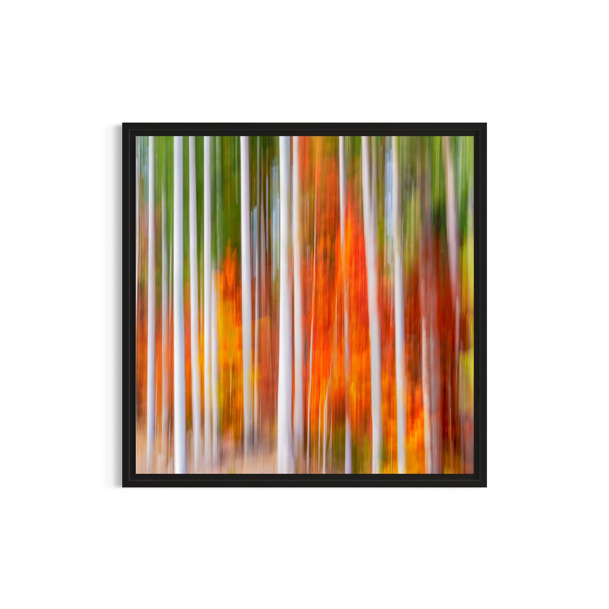 Vivid Autumn in  Dolomites Italy Photograph