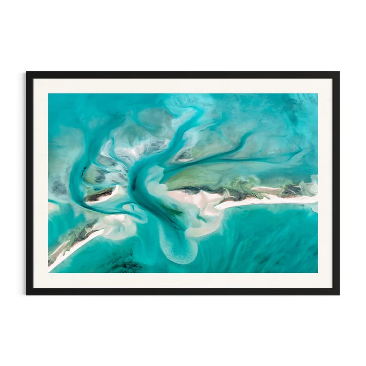 Nature’s Art, framed