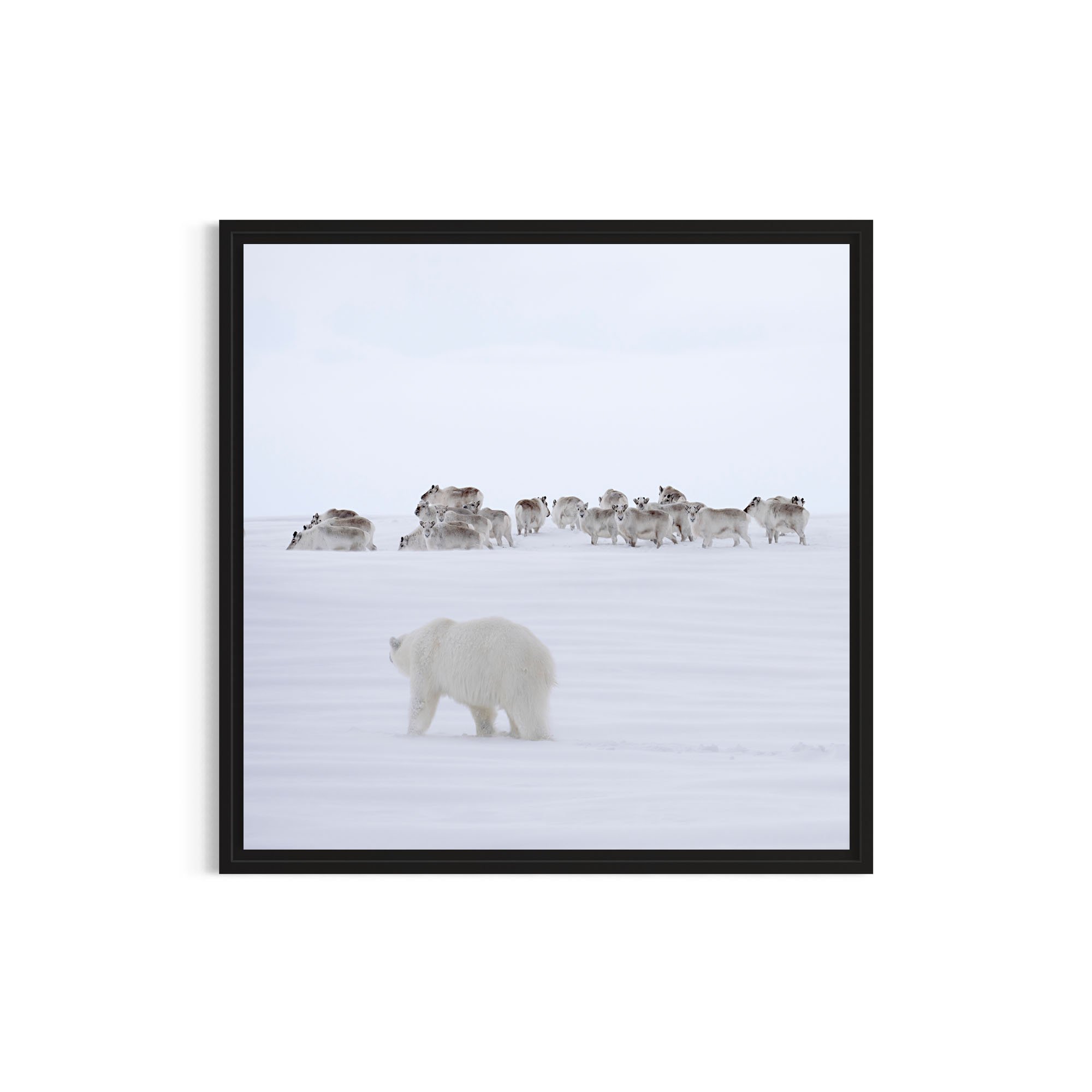 On Thin Ice_metal black frame.jpg
