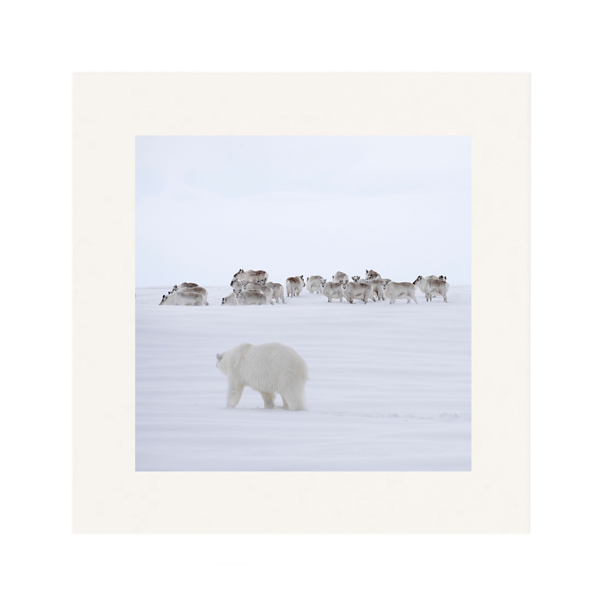 On Thin Ice_Mounted.jpg