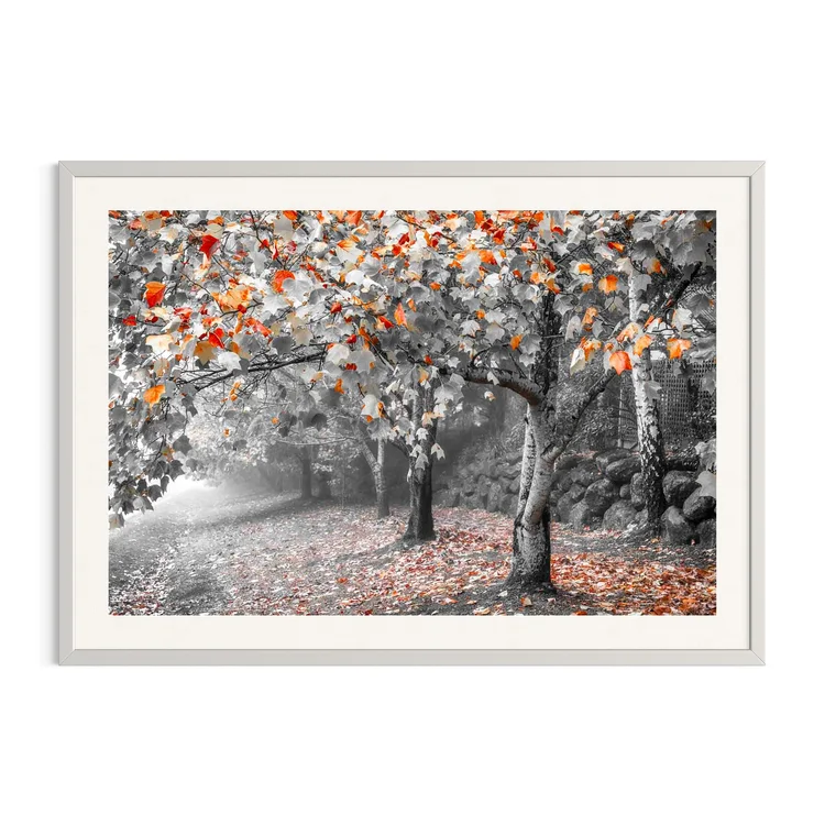 A Splash of Autumn in a white frame: copper leaves on a grey tree