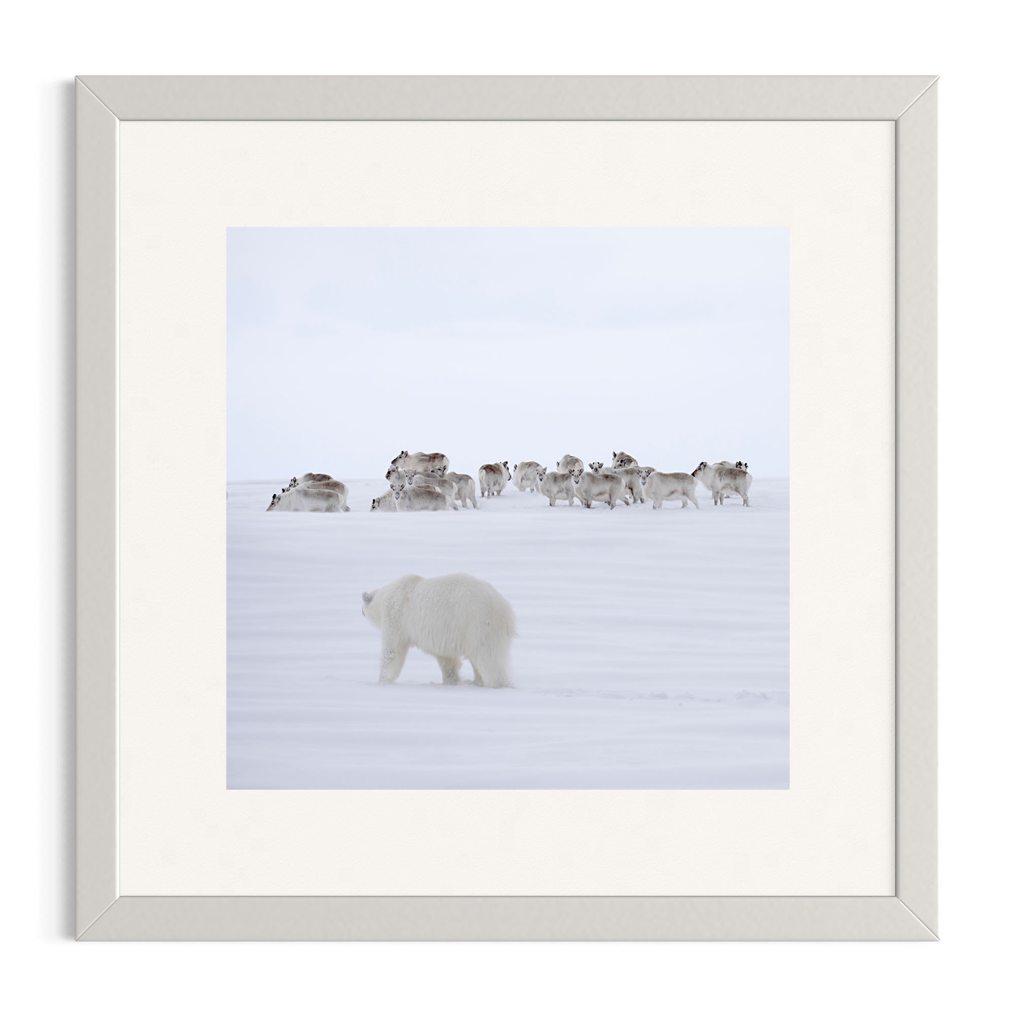On Thin Ice_white frame.jpg