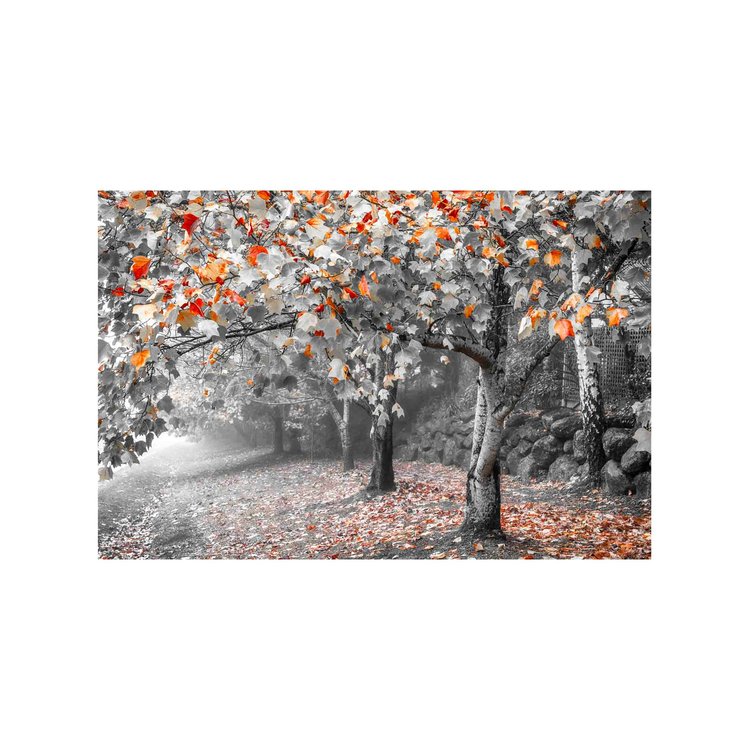 A Splash of Autumn