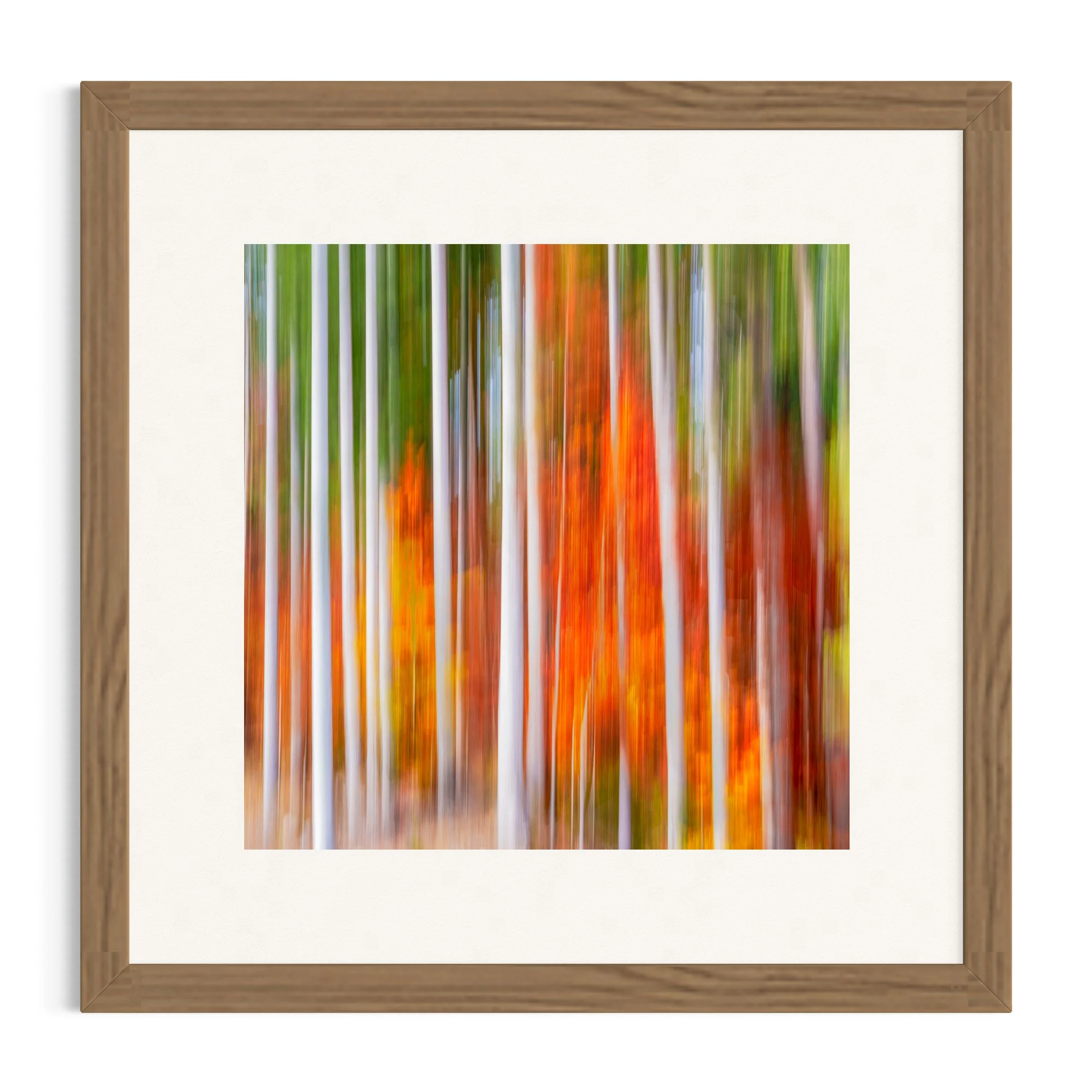 Vivid Autumn in  Dolomites Italy Photograph