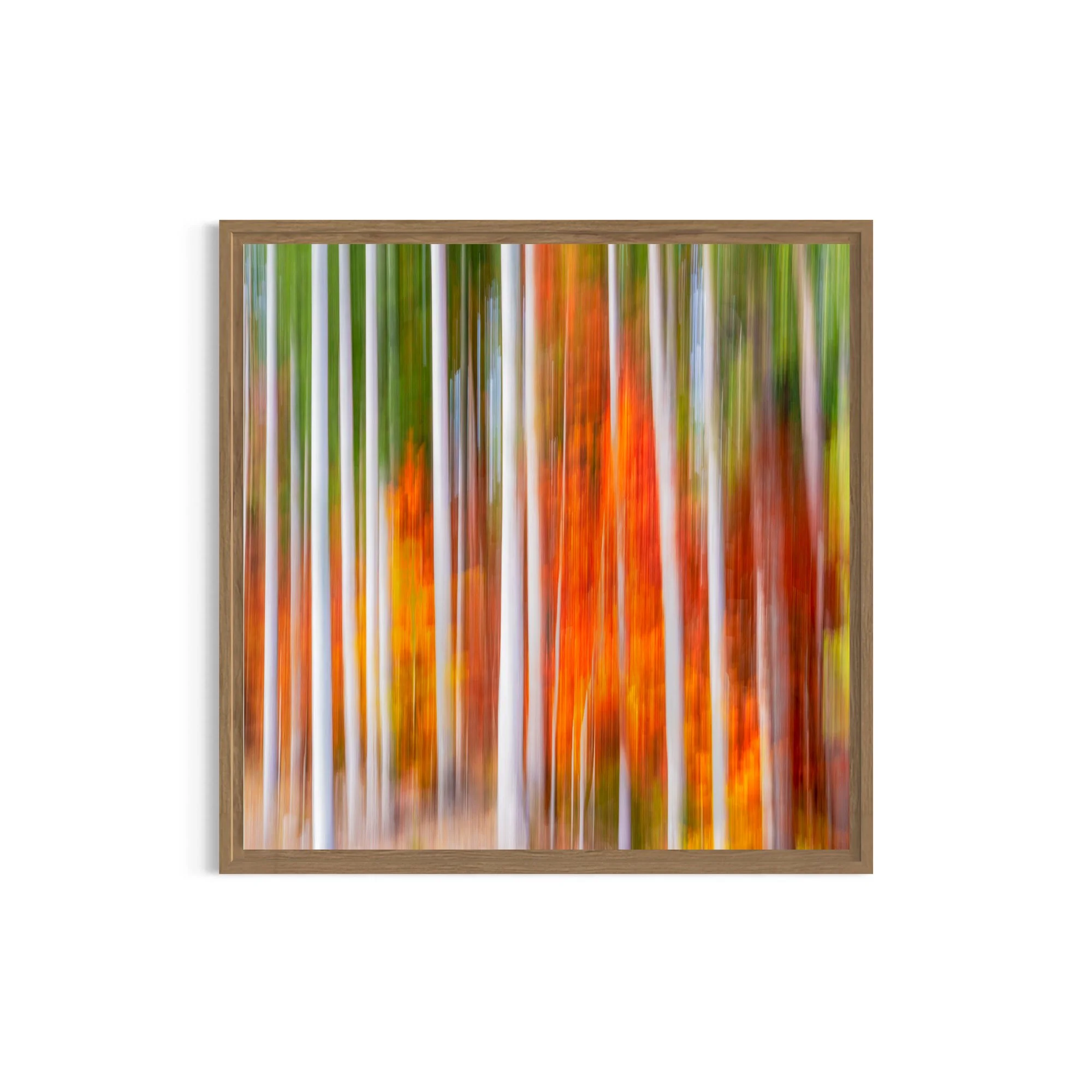 Vivid Autumn in  Dolomites Italy Photograph