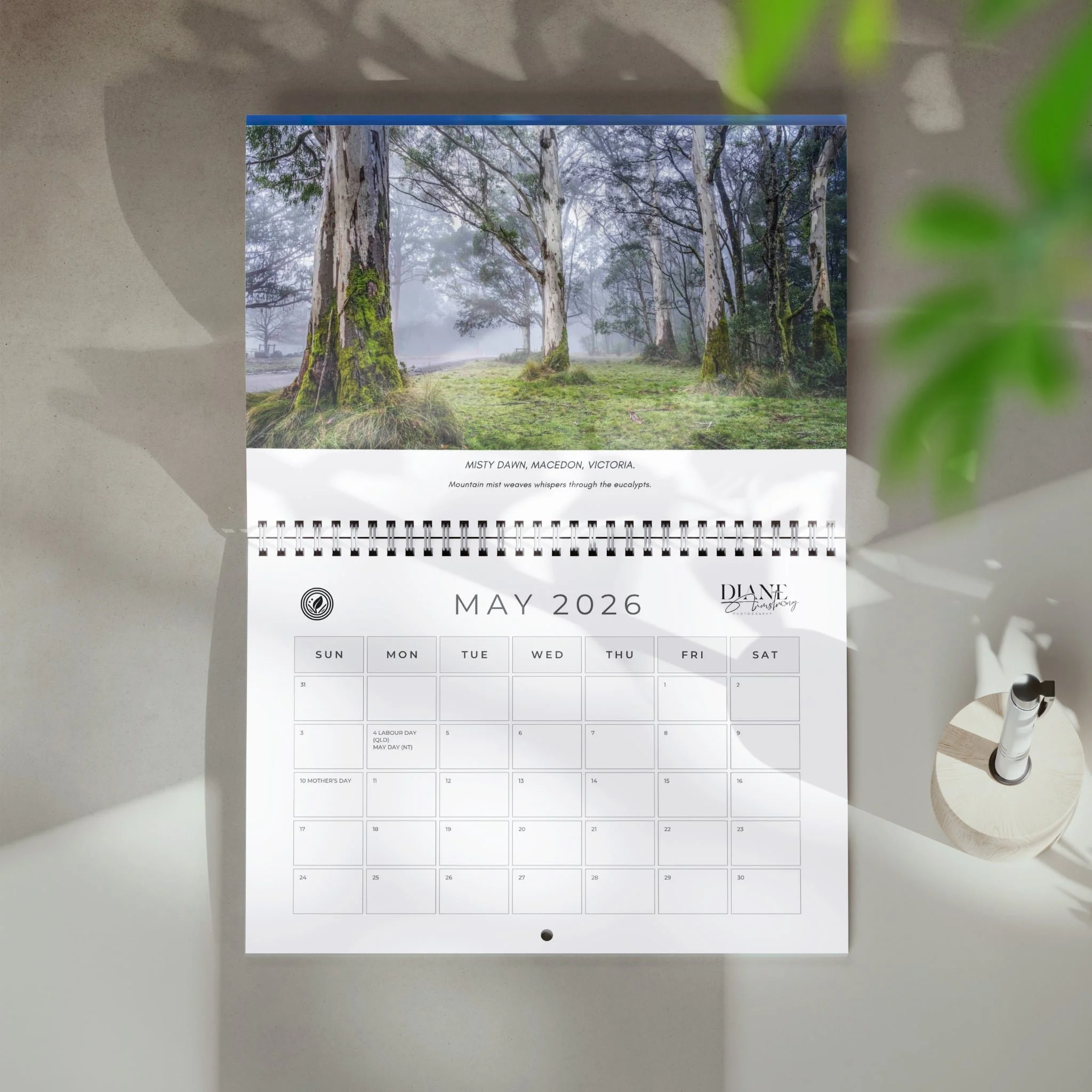 att.KXoZ4Gobqdxswi_V9b8m24E3MbLVAuEdy0_A6UmL4h4 2.JPG