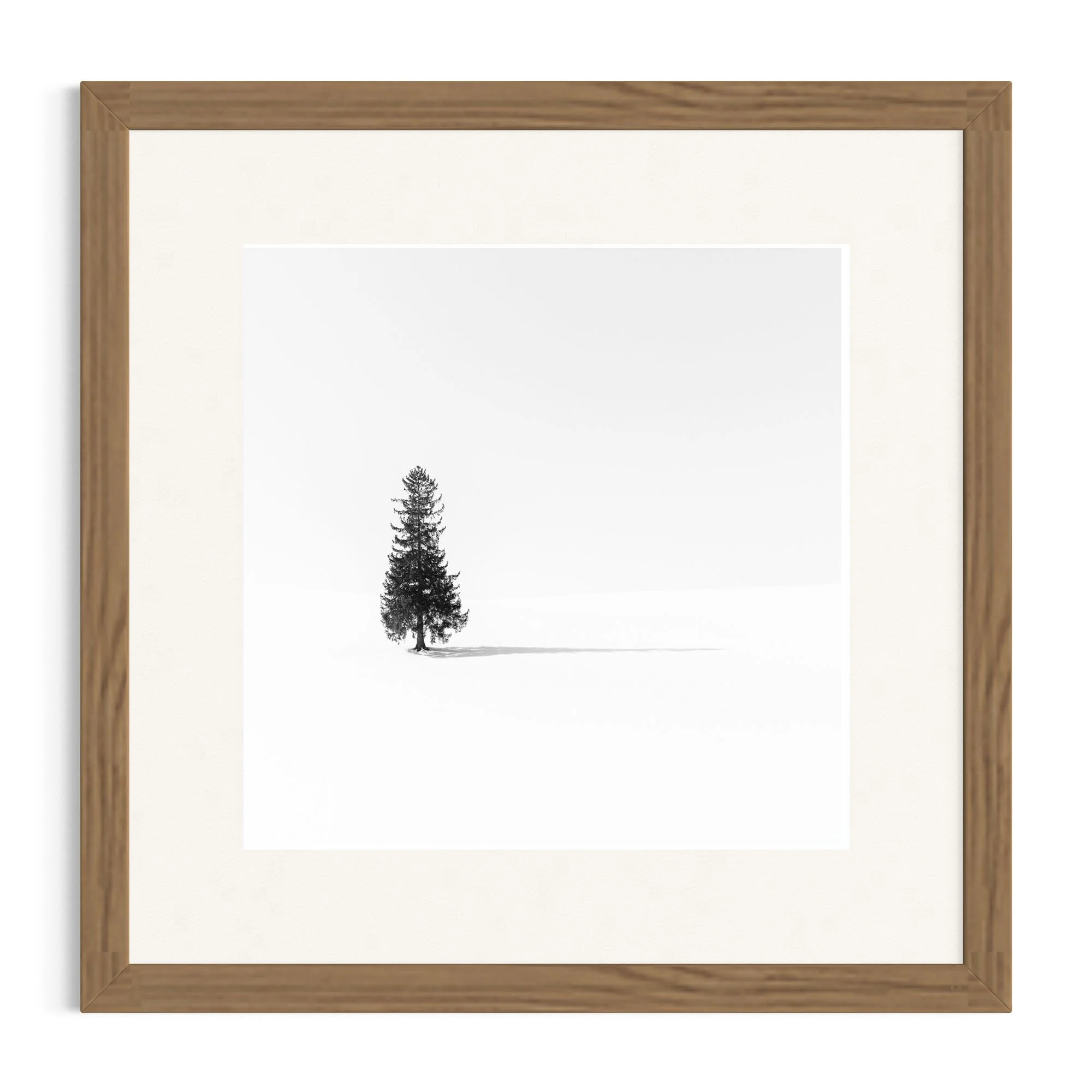 O Christmas tree_Raw Frame.jpg